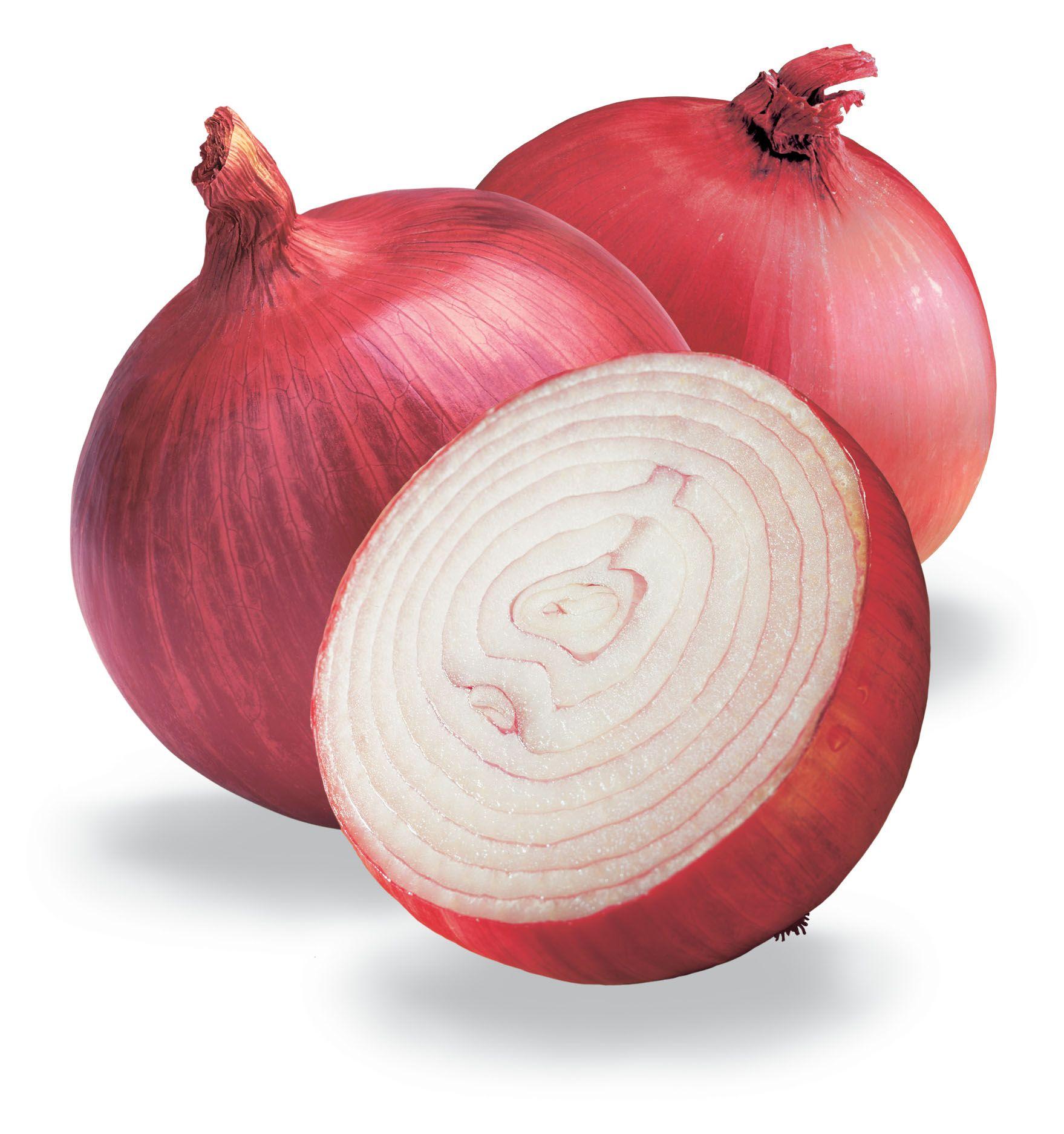 Onion Wallpapers Top Free Onion Backgrounds WallpaperAccess