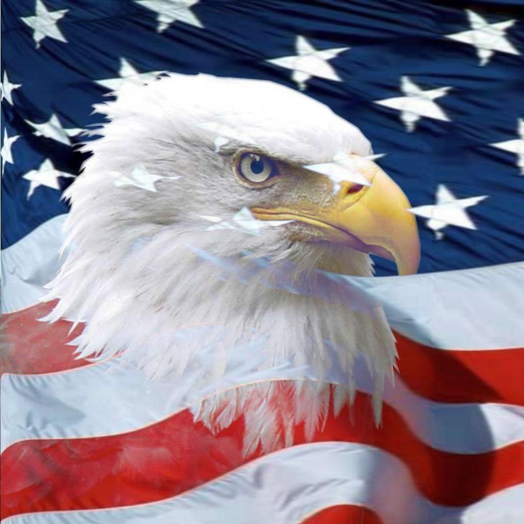 American Flag Eagles Wallpapers Top Free American Flag Eagles