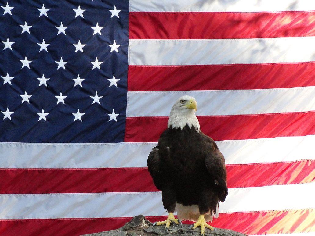 American Flag Eagles Wallpapers Top Free American Flag Eagles