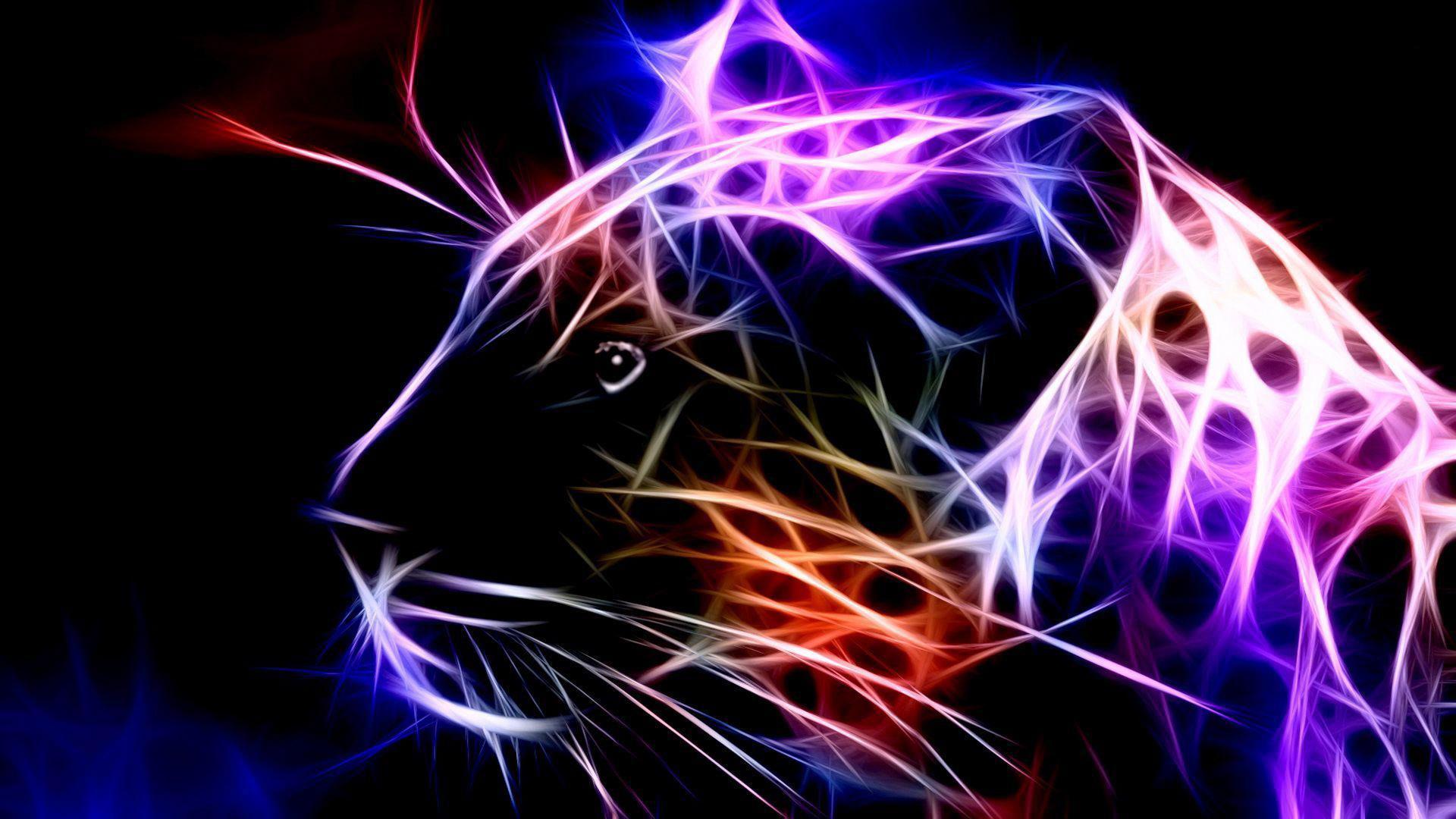 Neon Cheetah Wallpapers Top Free Neon Cheetah Backgrounds