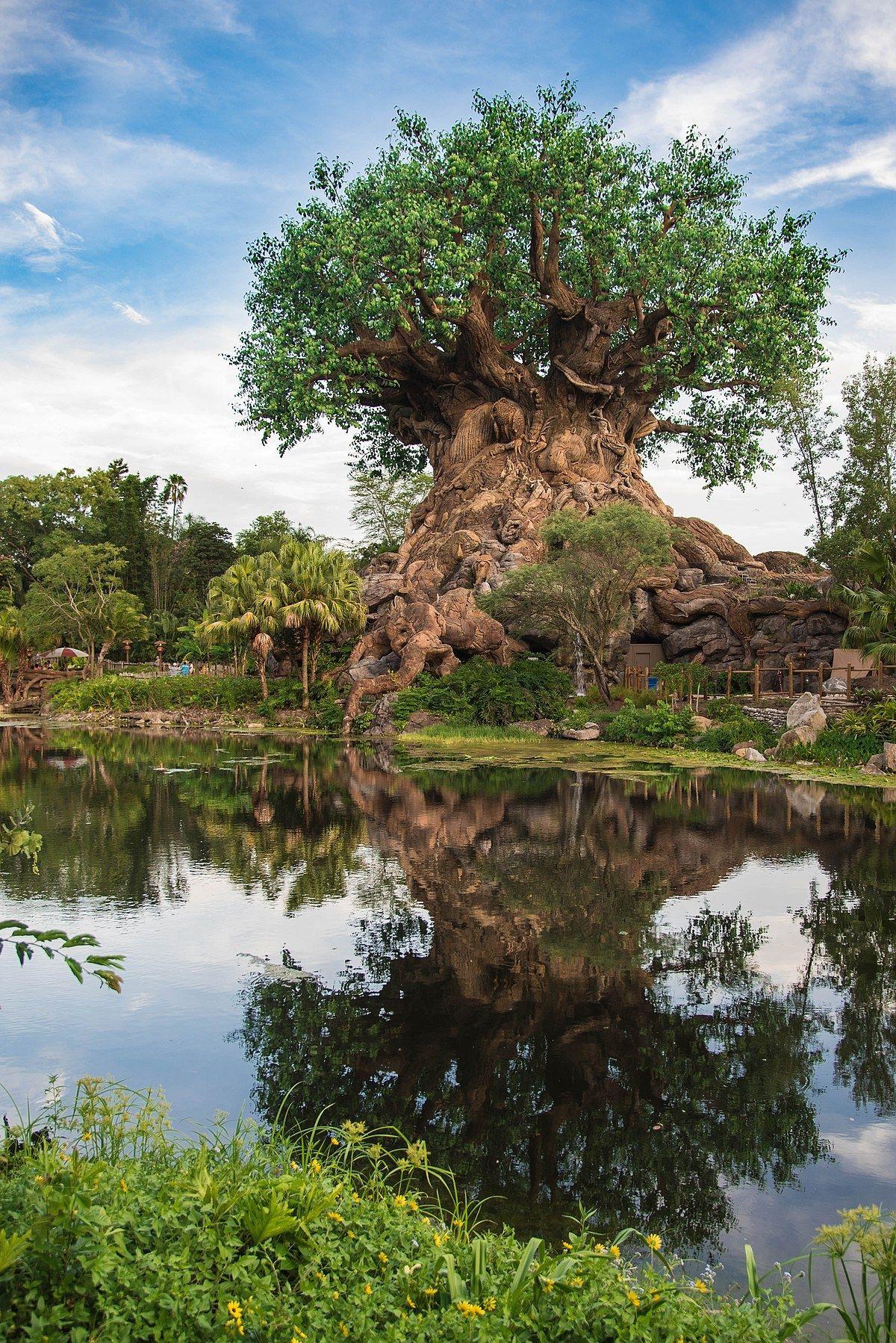 Animal Kingdom Wallpapers Top Free Animal Kingdom Backgrounds