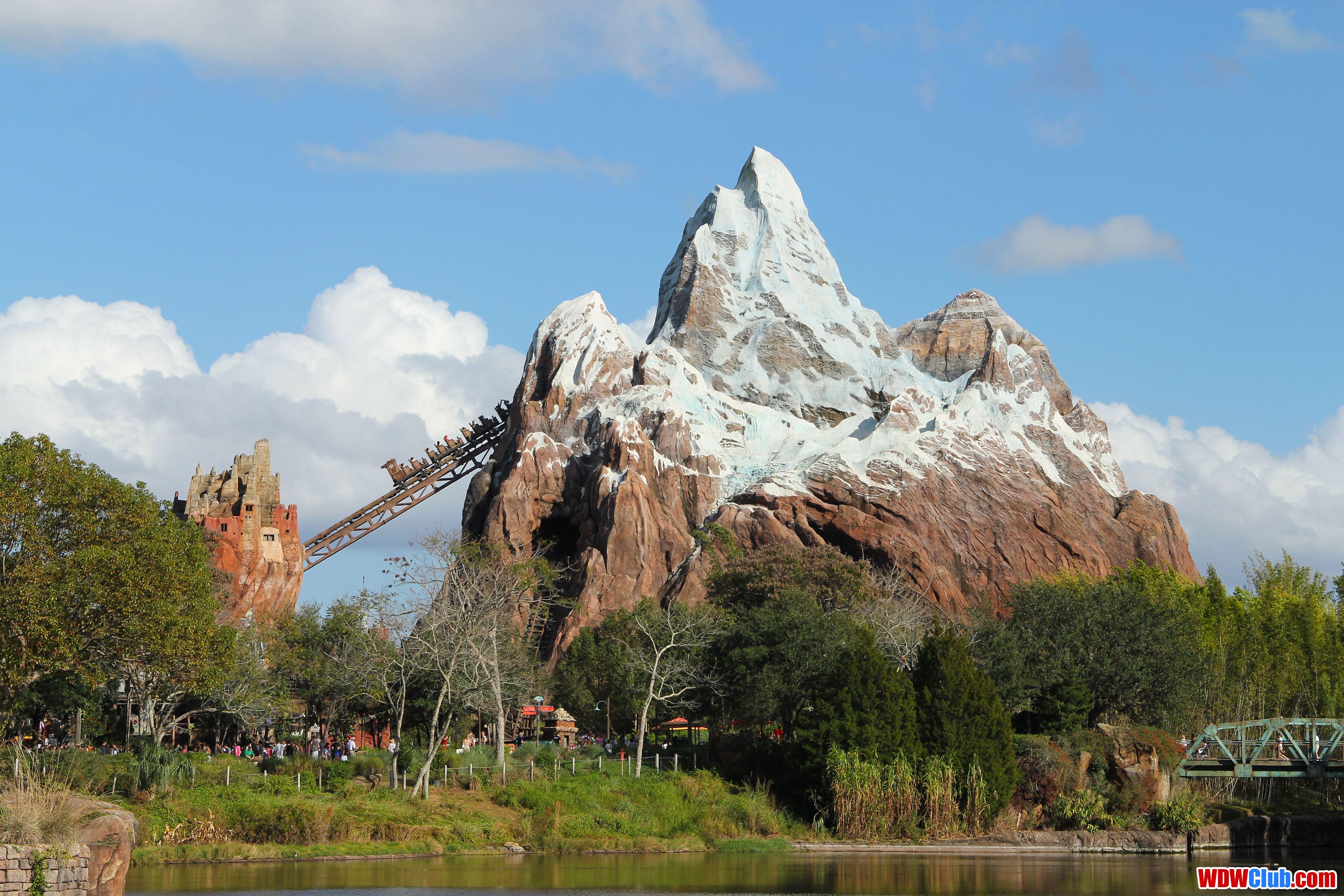 Animal Kingdom Wallpapers Top Free Animal Kingdom Backgrounds