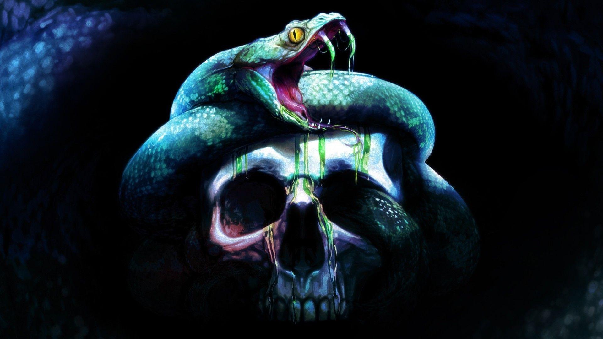 1920X1080 HD Snake Wallpapers Top Free 1920X1080 HD Snake Backgrounds