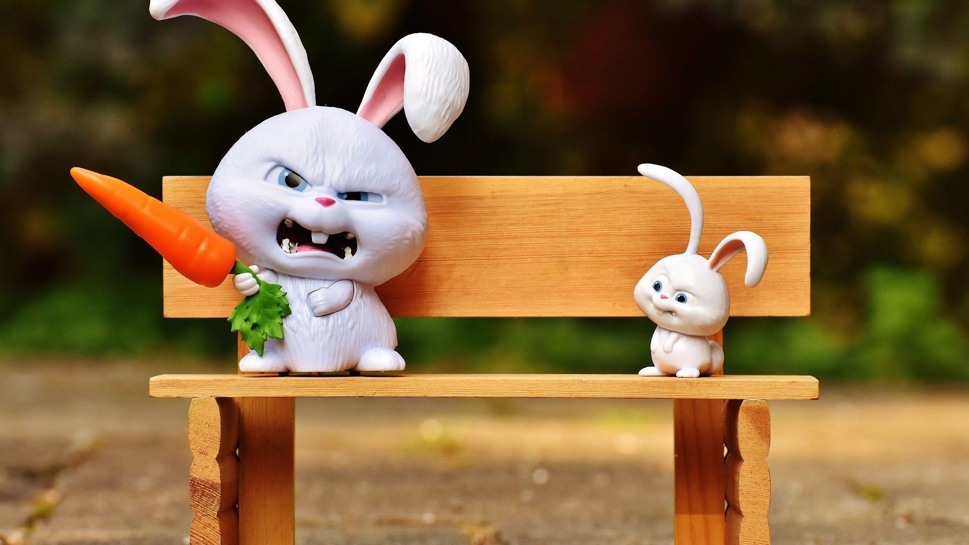 Funny Bunny Wallpapers Top Free Funny Bunny Backgrounds WallpaperAccess