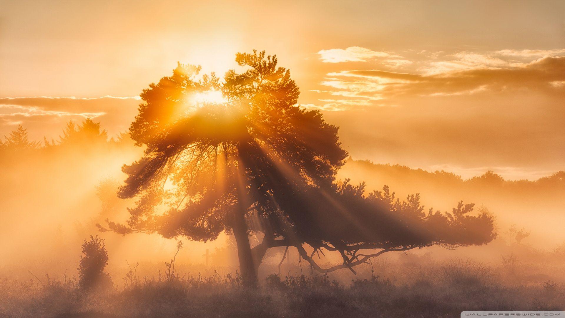 Sun Desktop Wallpapers Top Những Hình Ảnh Đẹp