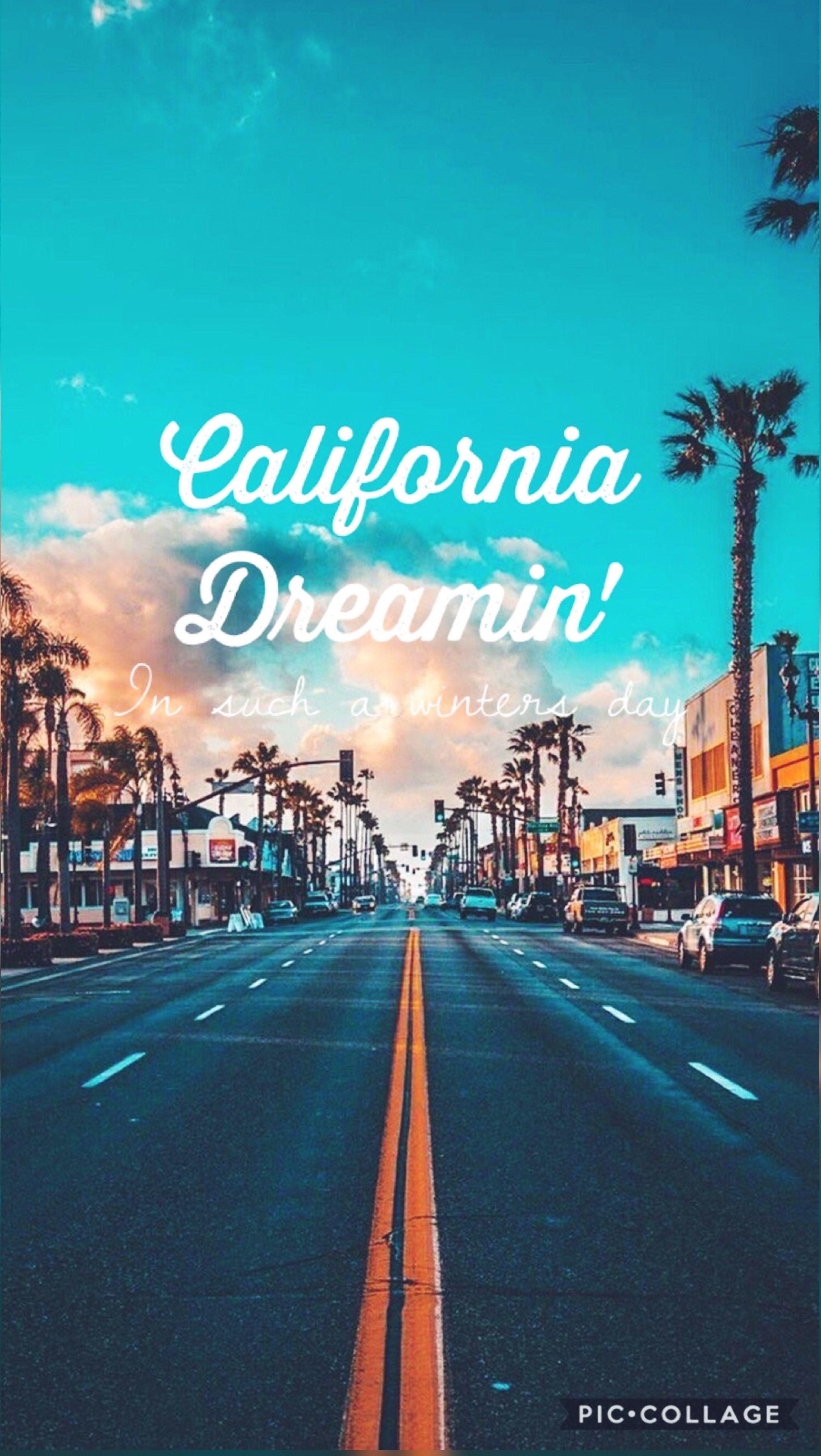California Palm Trees Street Iphone Wallpaper California Wallpaper 00A
