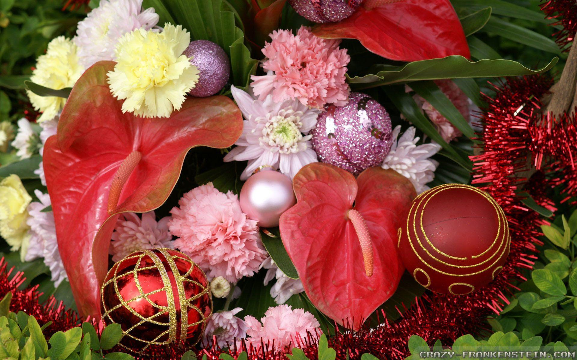 Christmas Flowers Wallpapers Top Free Christmas Flowers Backgrounds WallpaperAccess