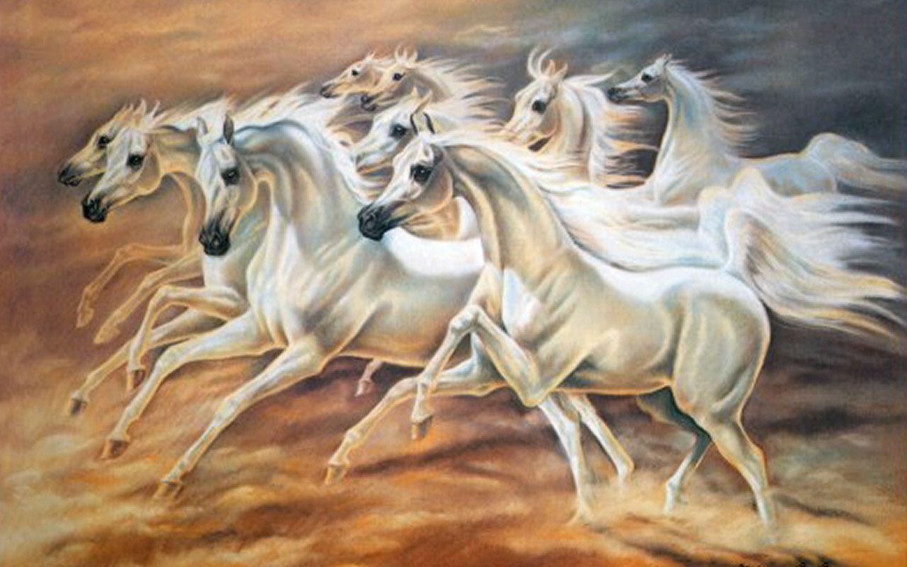 Seven Horses Wallpapers Top Free Seven Horses Backgrounds