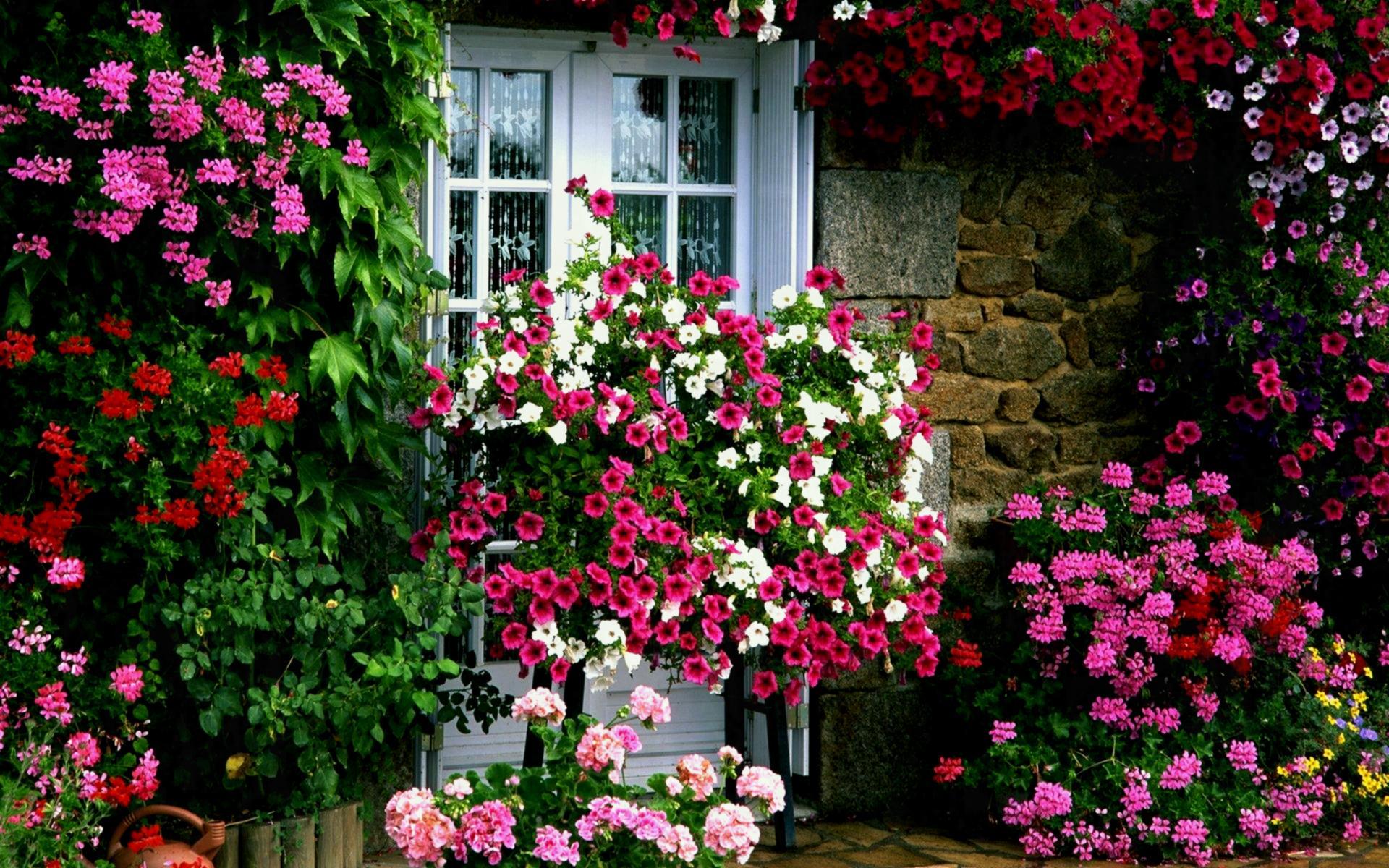 Flower Garden Desktop Wallpapers Top Free Flower Garden Desktop