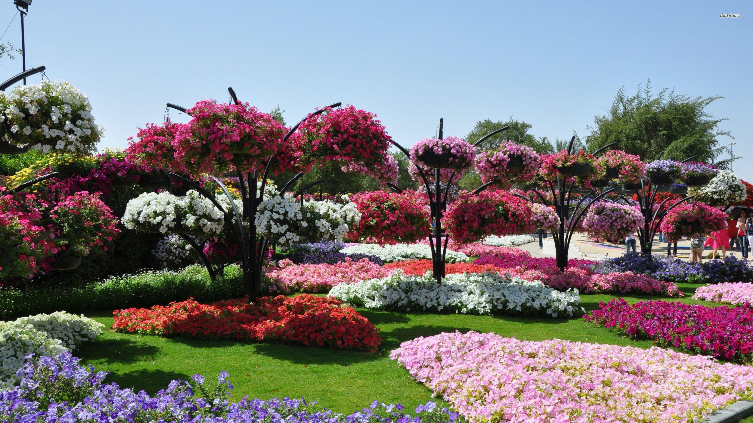 Flower Garden Desktop Wallpapers Top Free Flower Garden Desktop
