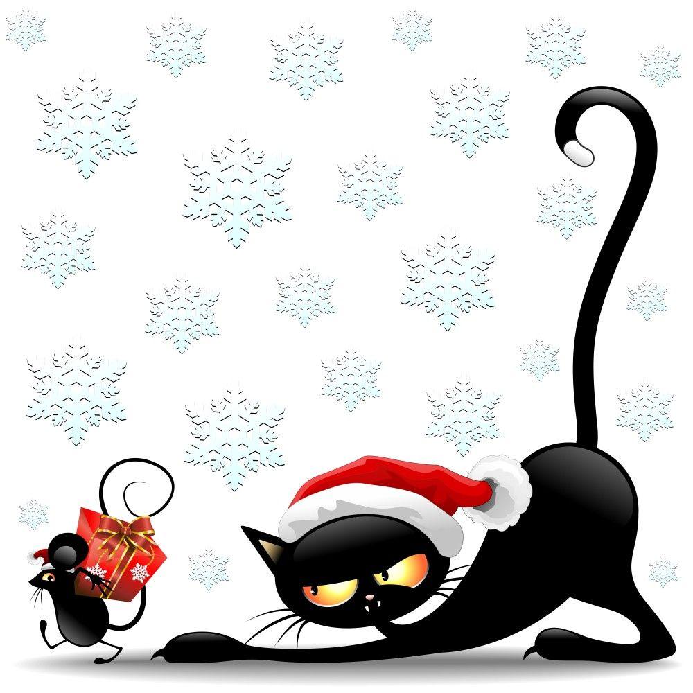 Funny Cat Christmas Wallpapers Top Free Funny Cat Christmas