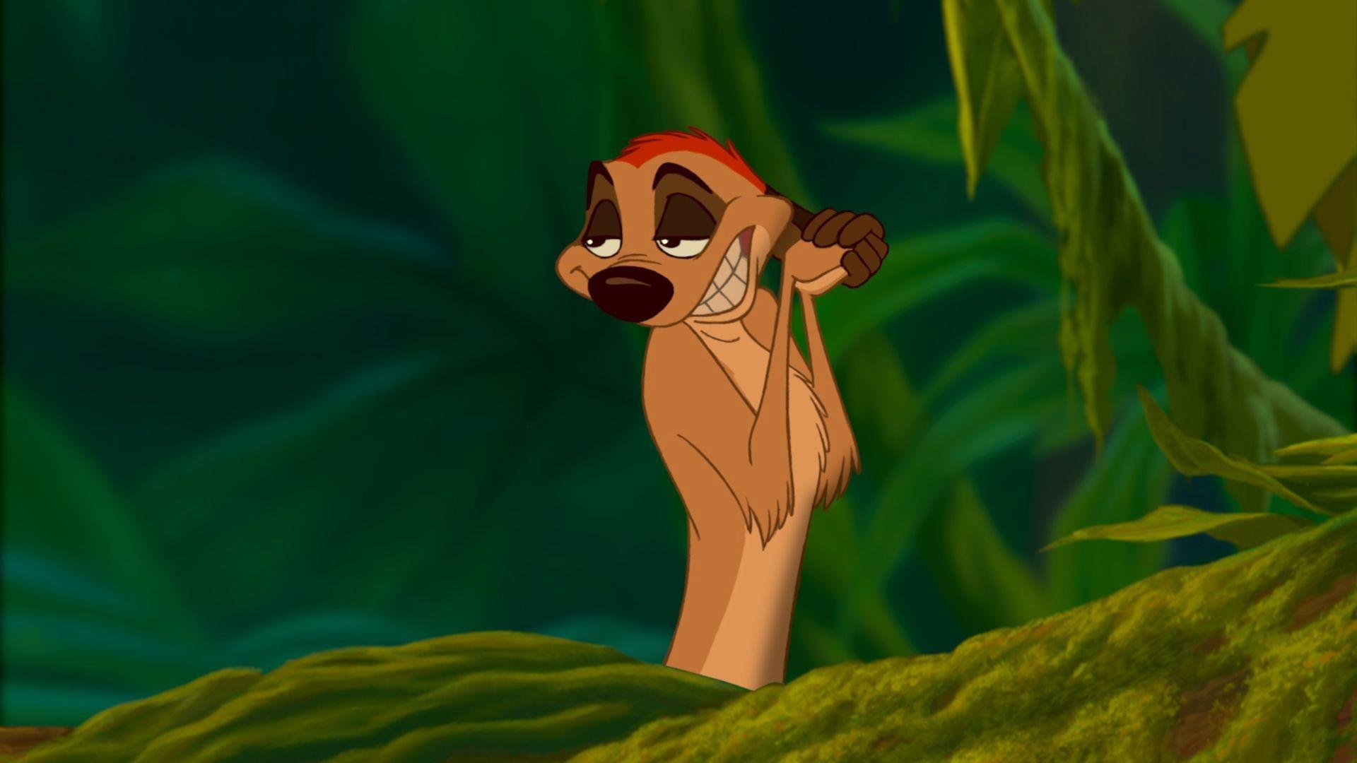 Timón Wallpapers Top Free Timón Backgrounds WallpaperAccess