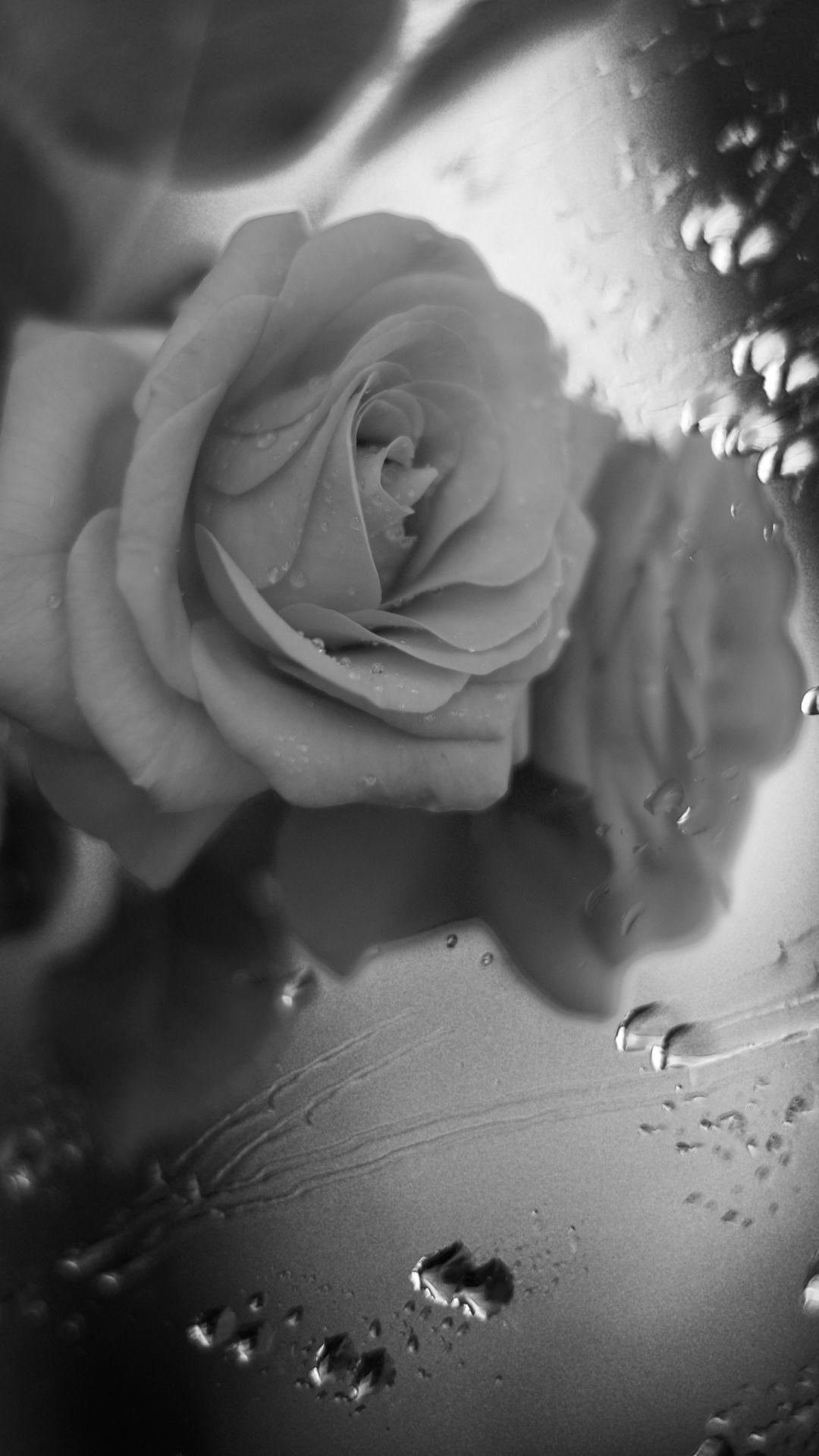 Black and White Mobile Wallpapers Top Free Black and White Mobile