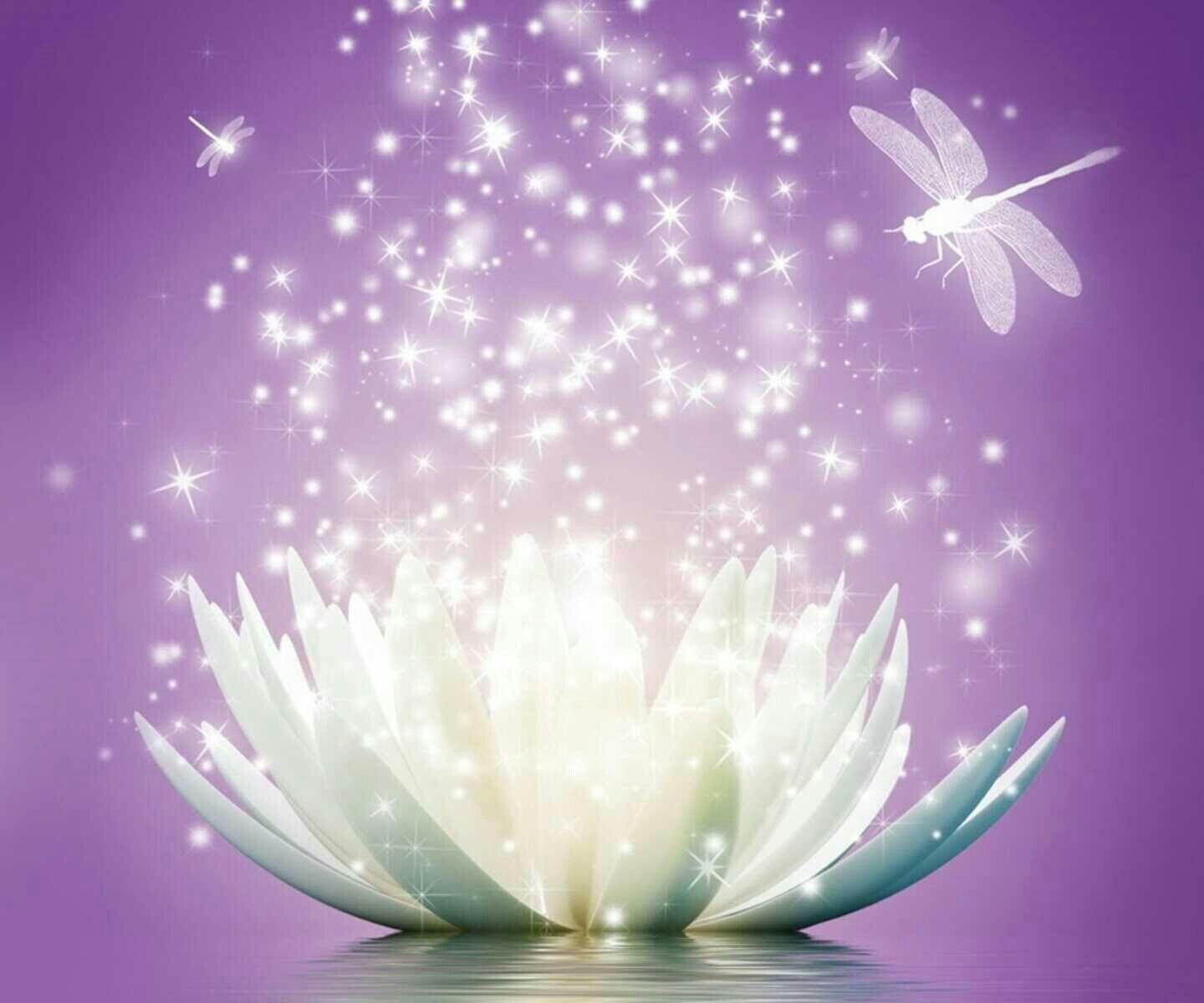 Zen Lotus Wallpapers Top Free Zen Lotus Backgrounds WallpaperAccess