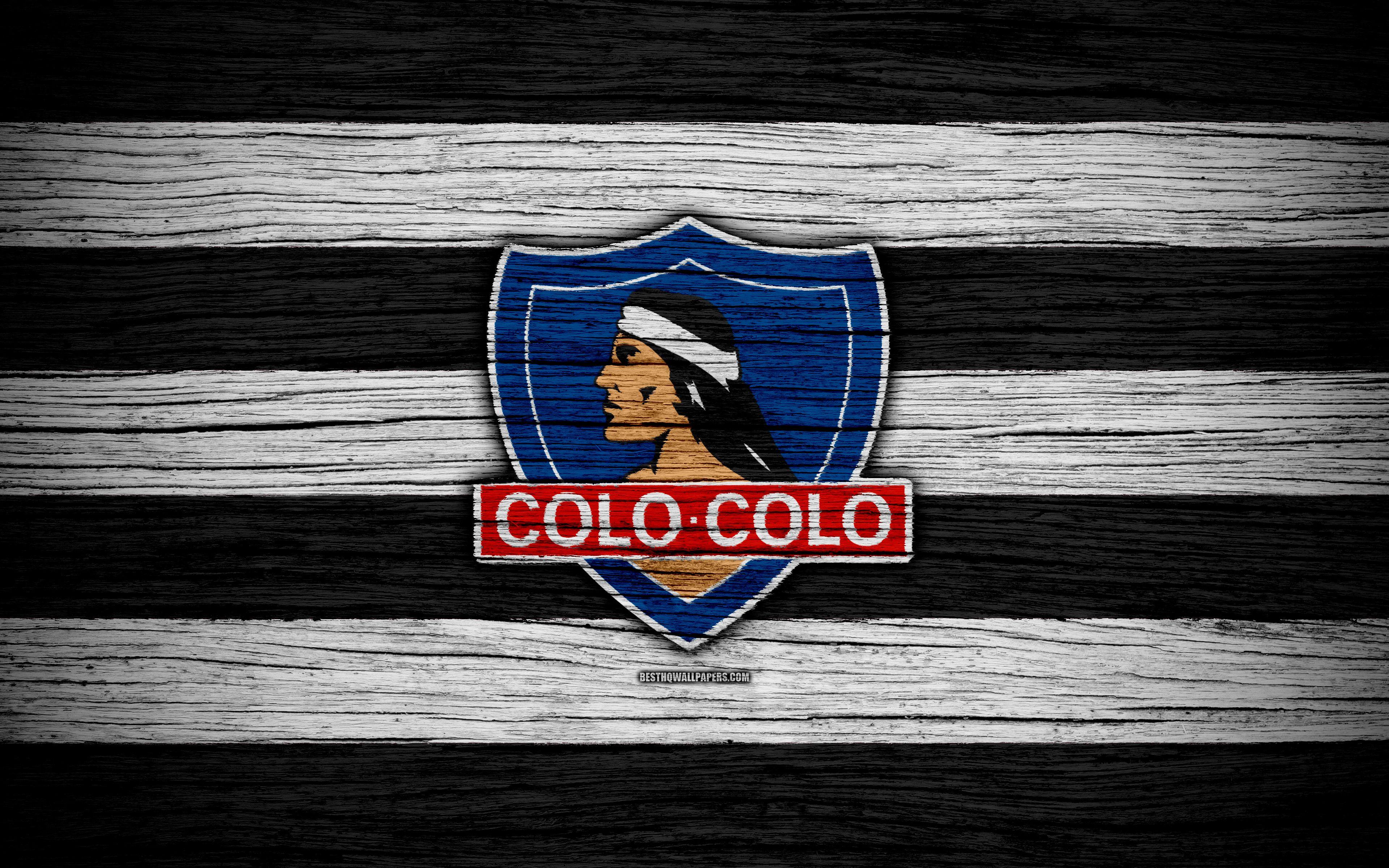 Colocolo Wallpapers Top Free Colocolo Backgrounds WallpaperAccess