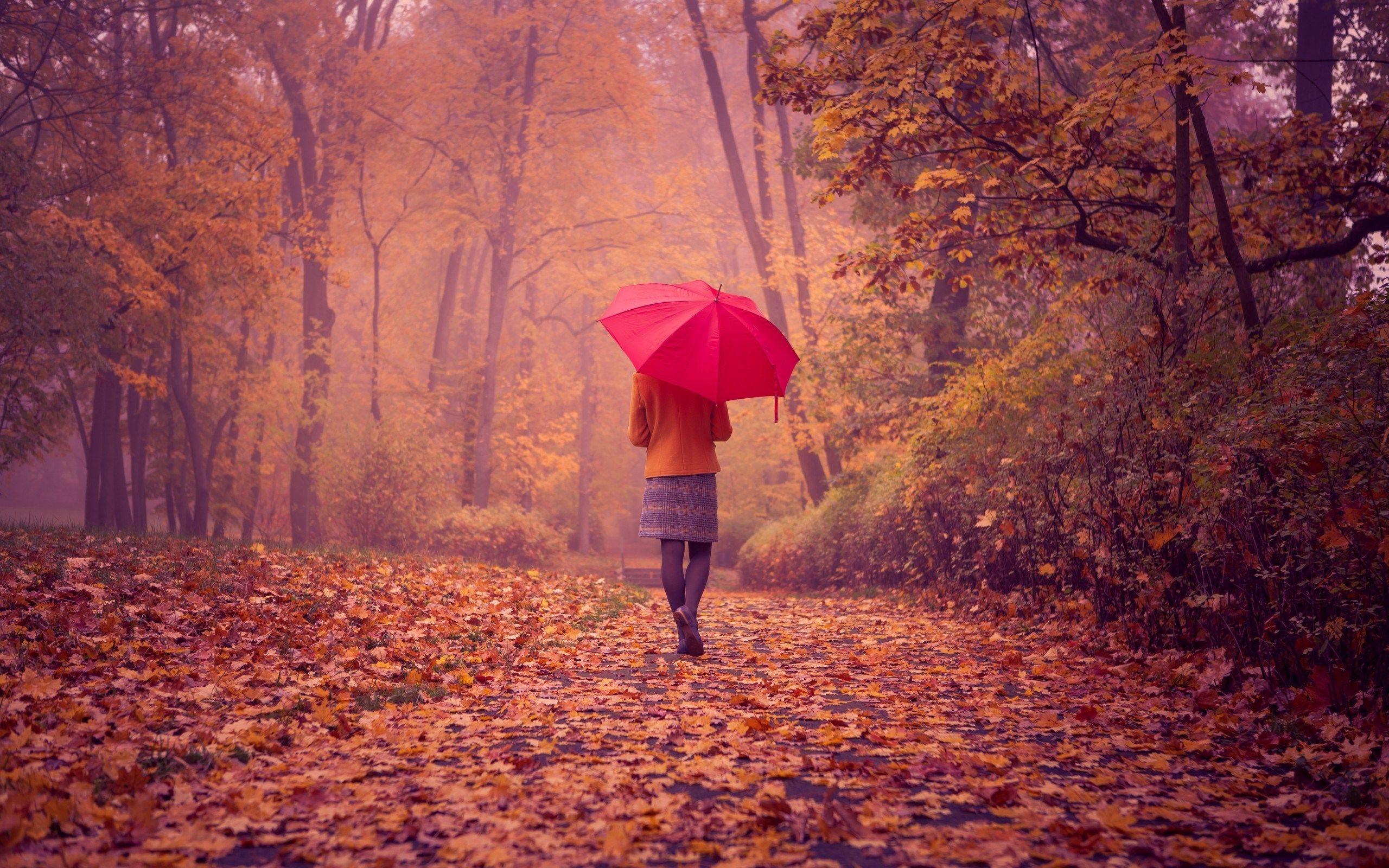 Painting Red Umbrella Wallpapers Top Free Painting Red Umbrella