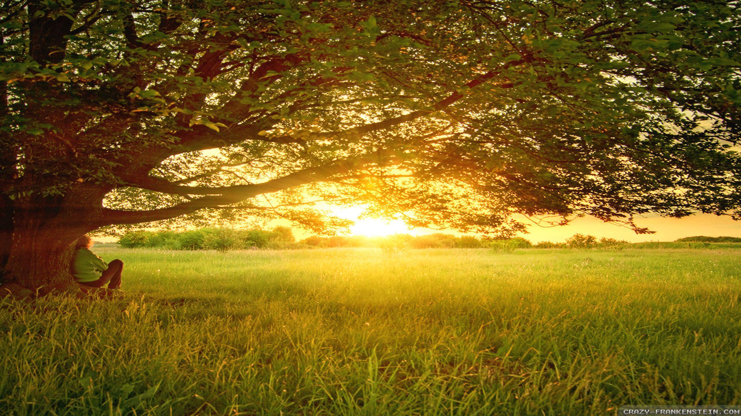 Peaceful Nature Wallpapers Top Free Peaceful Nature Backgrounds