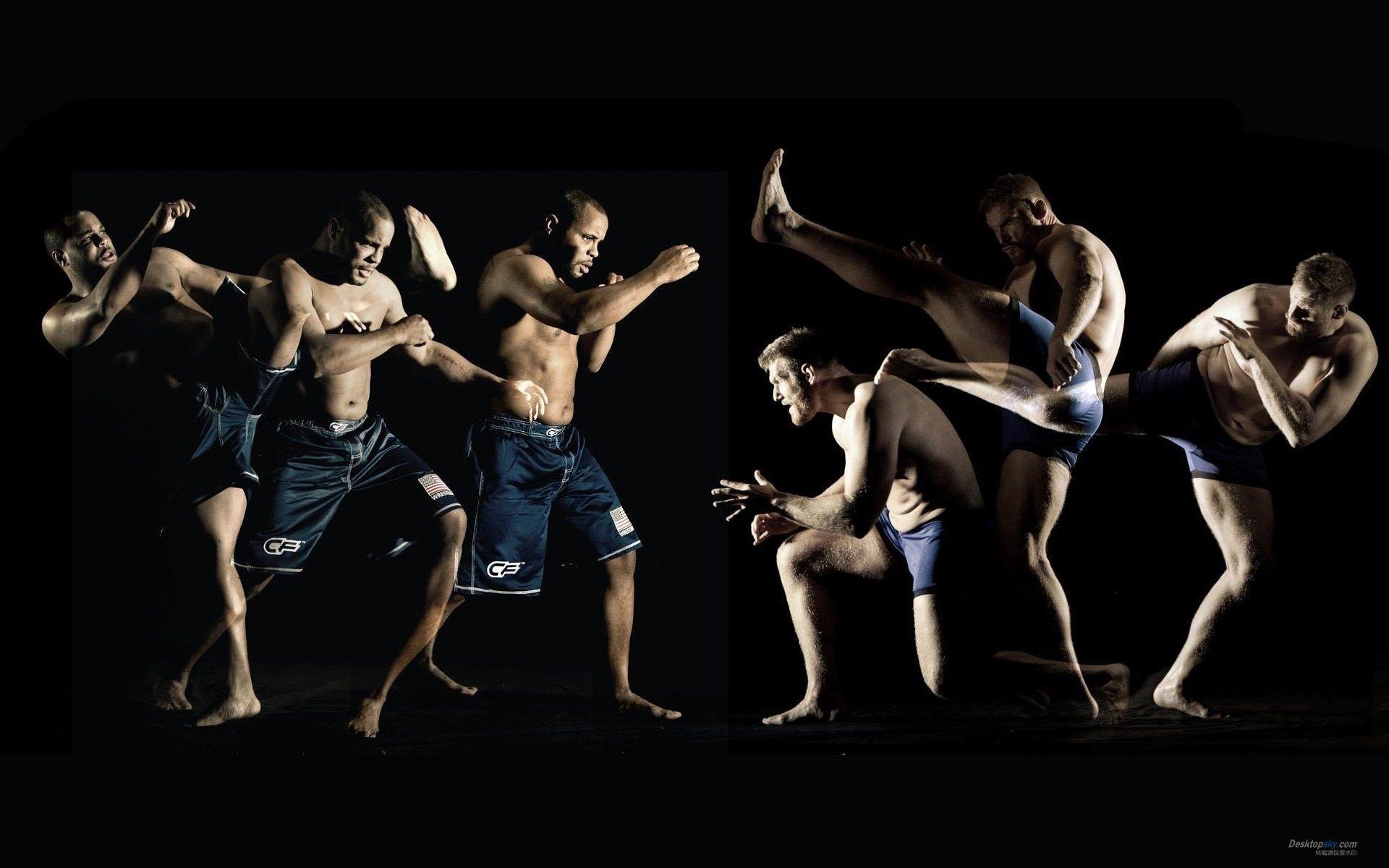 Mixed Martial Arts Wallpapers Top Free Mixed Martial Arts Backgrounds