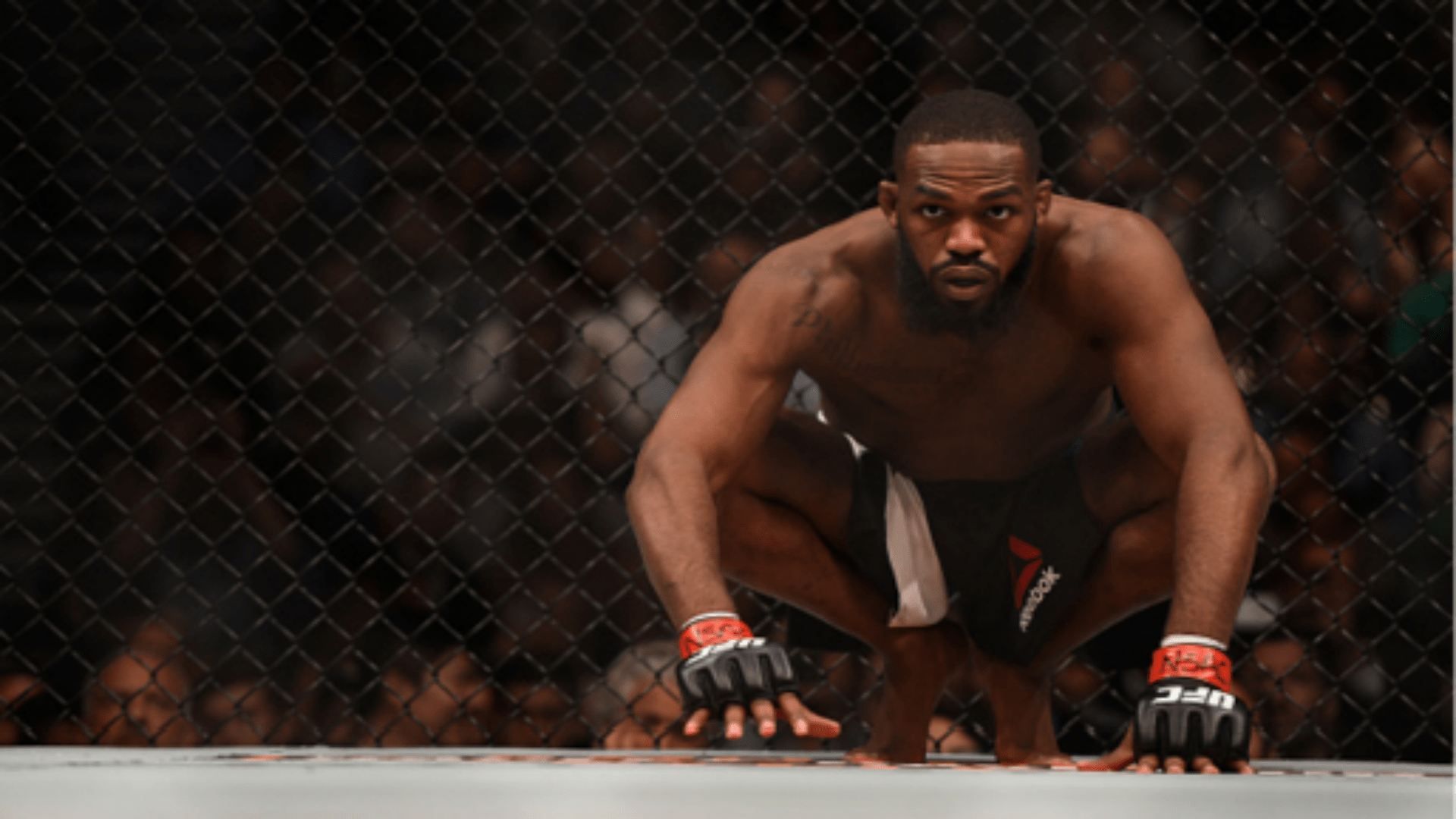 JON JONES Wallpapers Top Free JON JONES Backgrounds WallpaperAccess