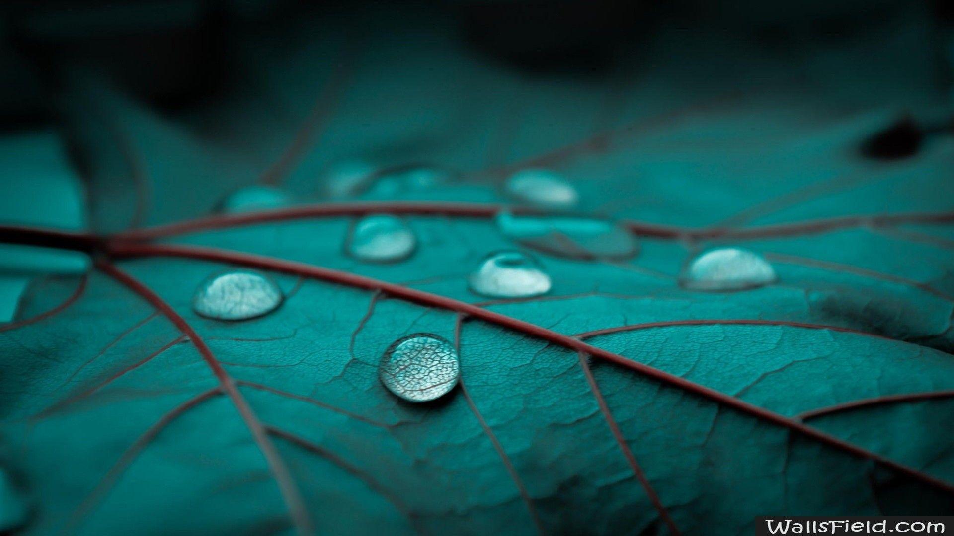 Emerald Wallpapers Top Free Emerald Backgrounds WallpaperAccess