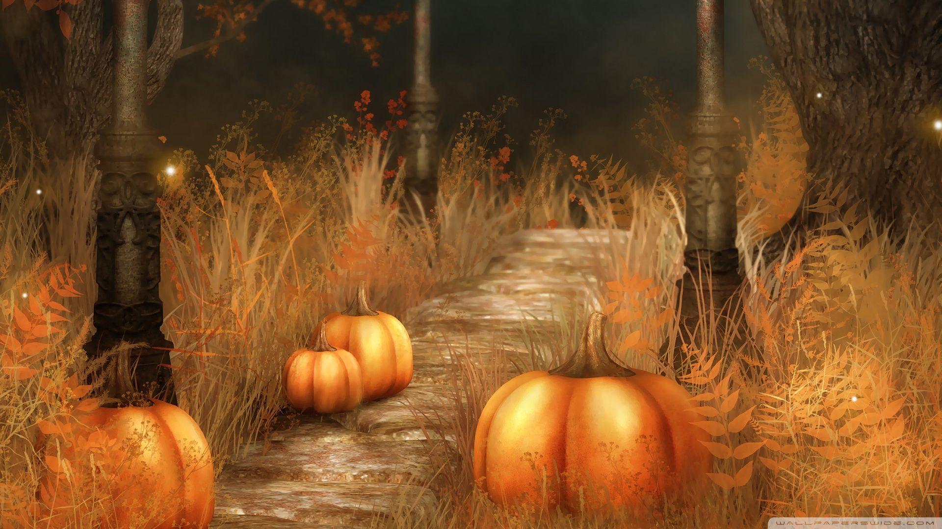 Fall Pumpkin Wallpapers Top Free Fall Pumpkin Backgrounds