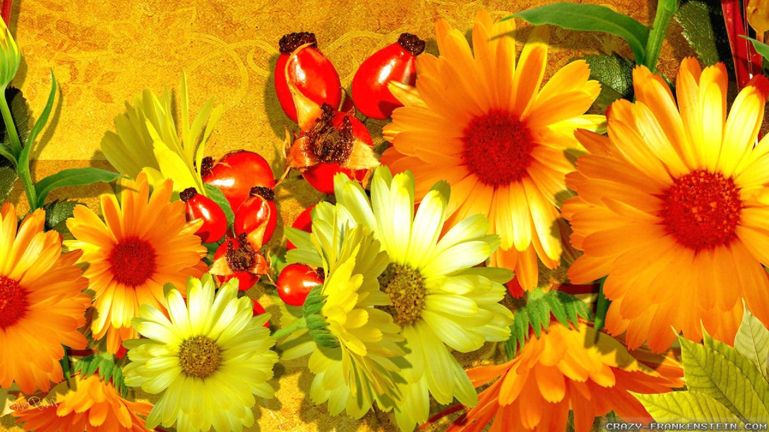 Autumn Flowers Wallpapers Top Free Autumn Flowers Backgrounds