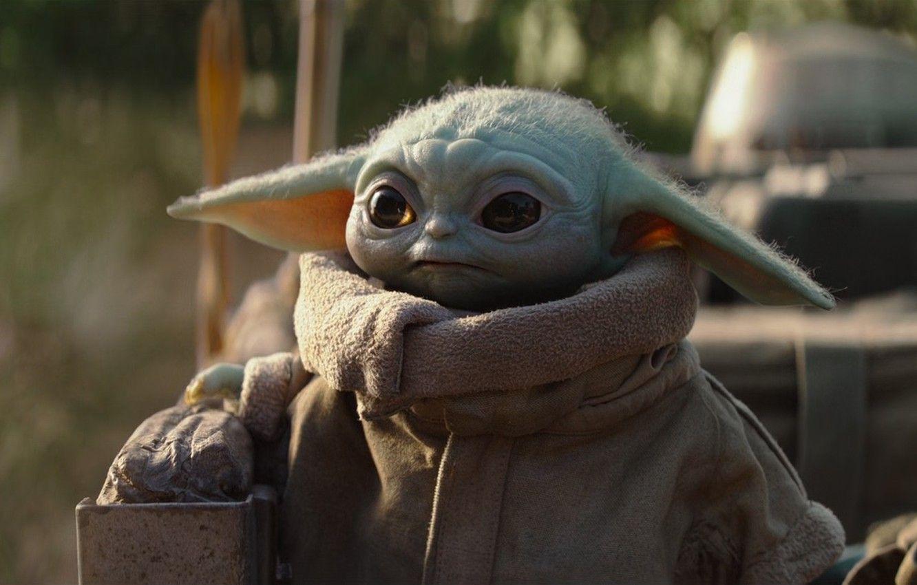 Cute Baby Yoda Wallpapers Top Free Cute Baby Yoda Backgrounds