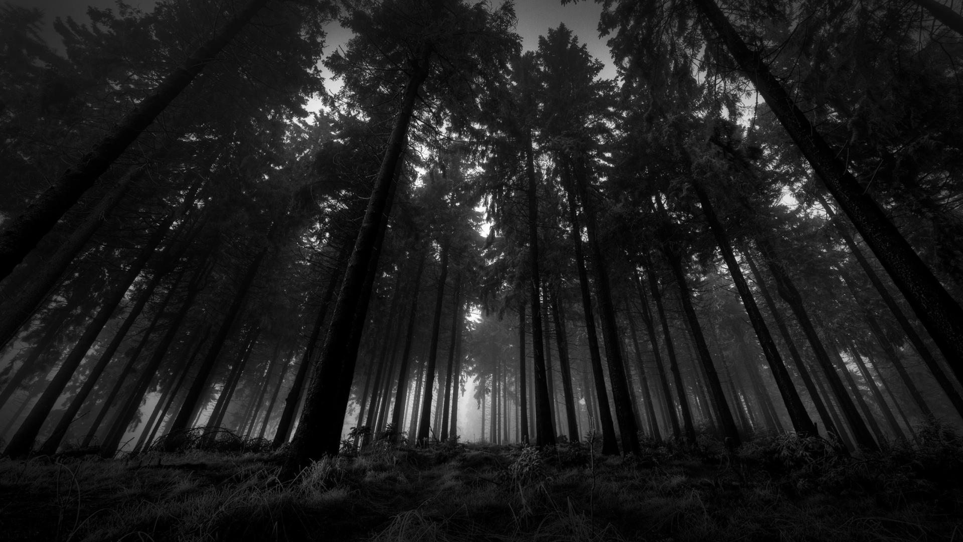 Gloomy Wallpapers Top Free Gloomy Backgrounds WallpaperAccess