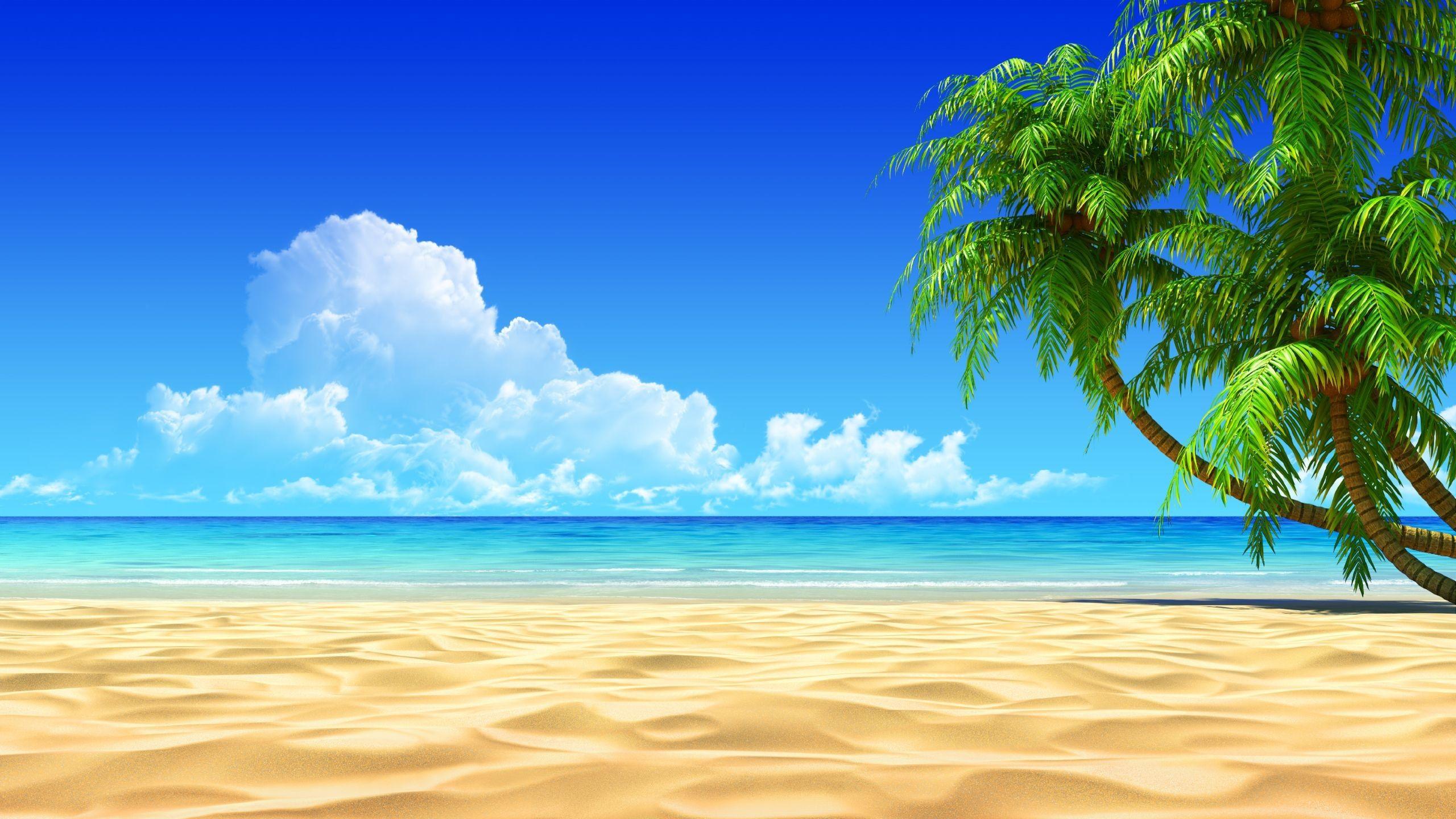 Sea Beach Wallpapers Top Free Sea Beach Backgrounds WallpaperAccess
