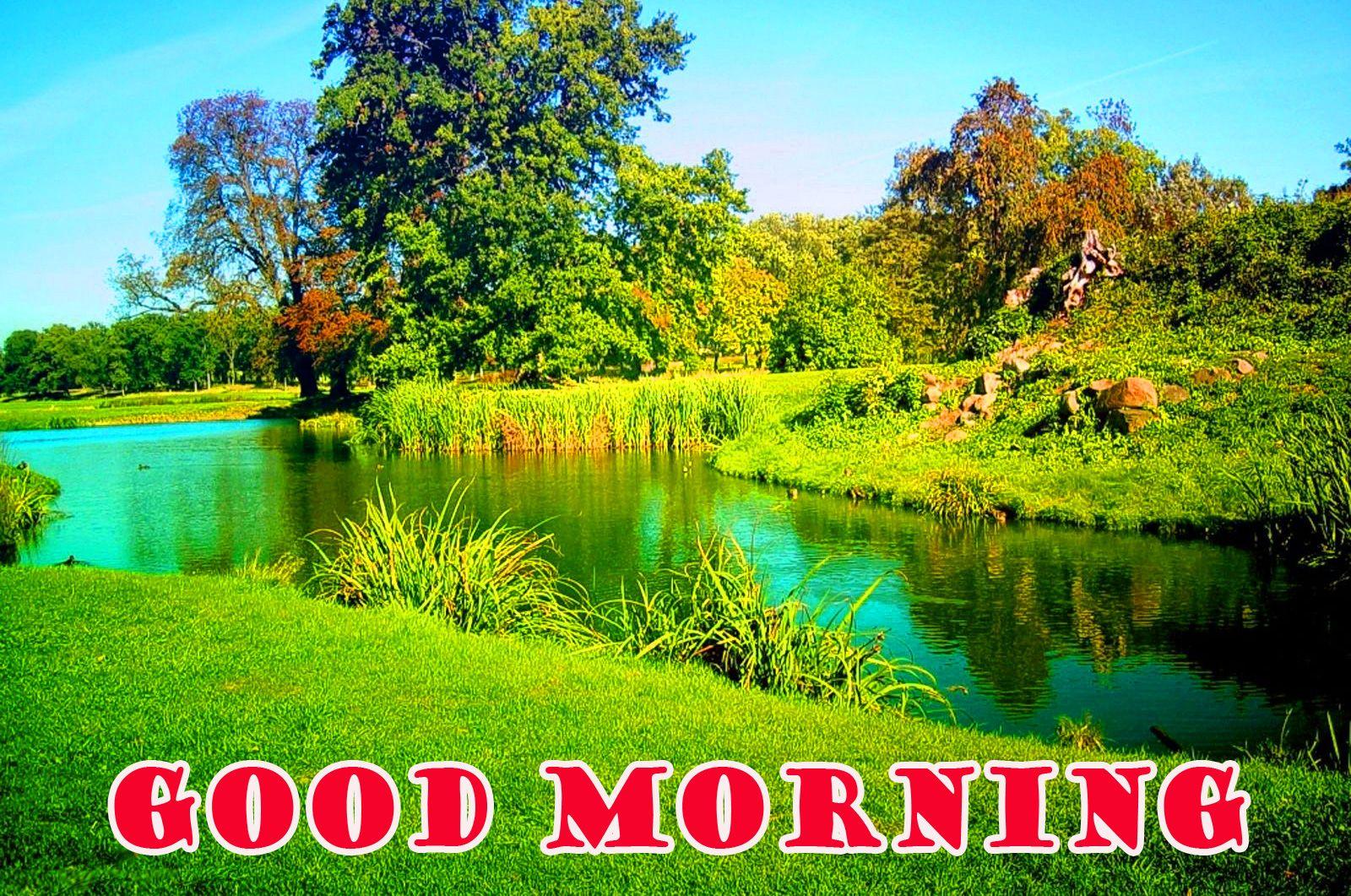 Good Morning Nature Wallpapers Top Free Good Morning Nature