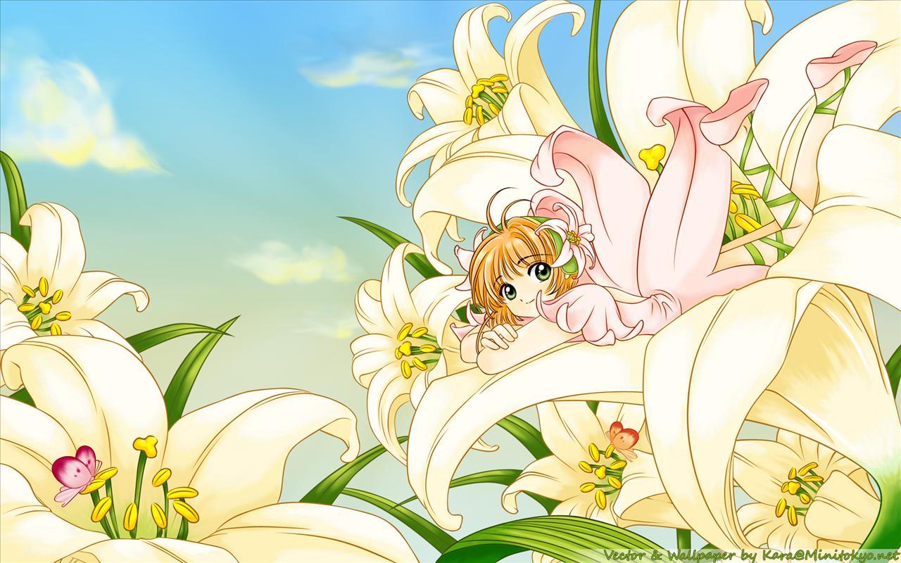 Anime Flower Wallpapers Top Free Anime Flower Backgrounds