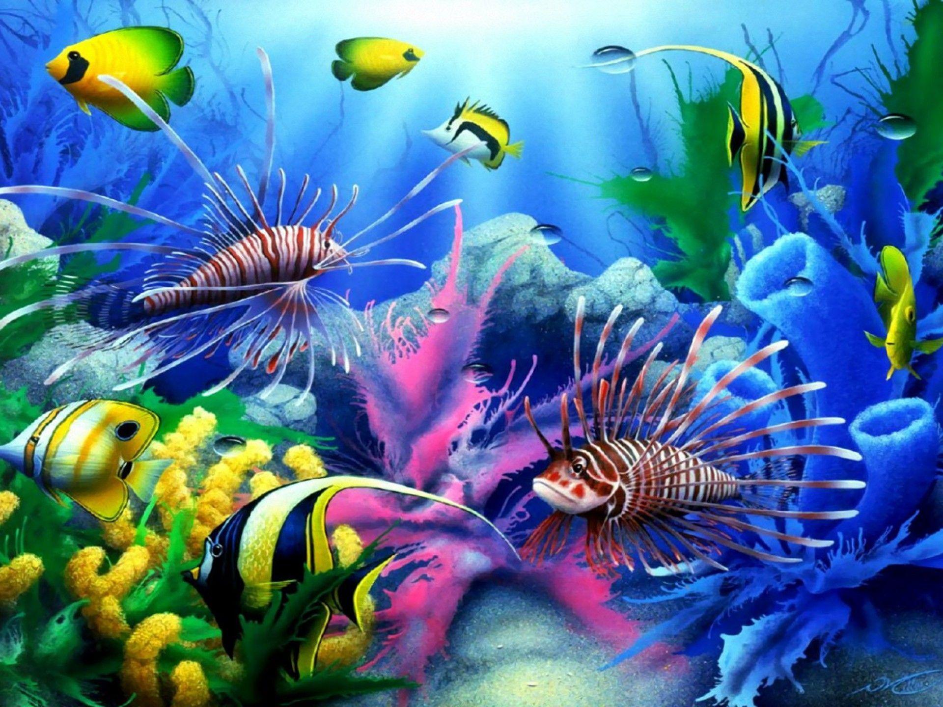 Animated Fish Wallpapers Top Free Animated Fish Backgrounds