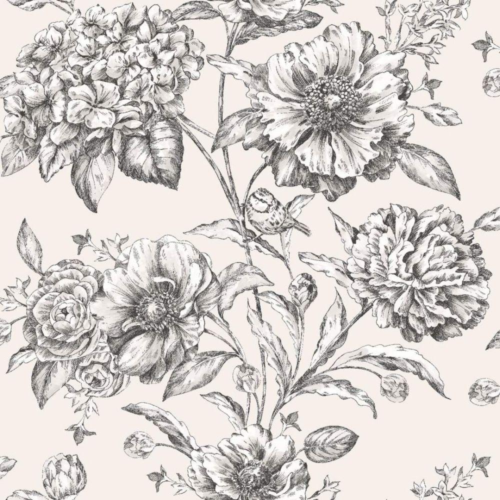Black and White Floral Wallpapers Top Free Black and White Floral
