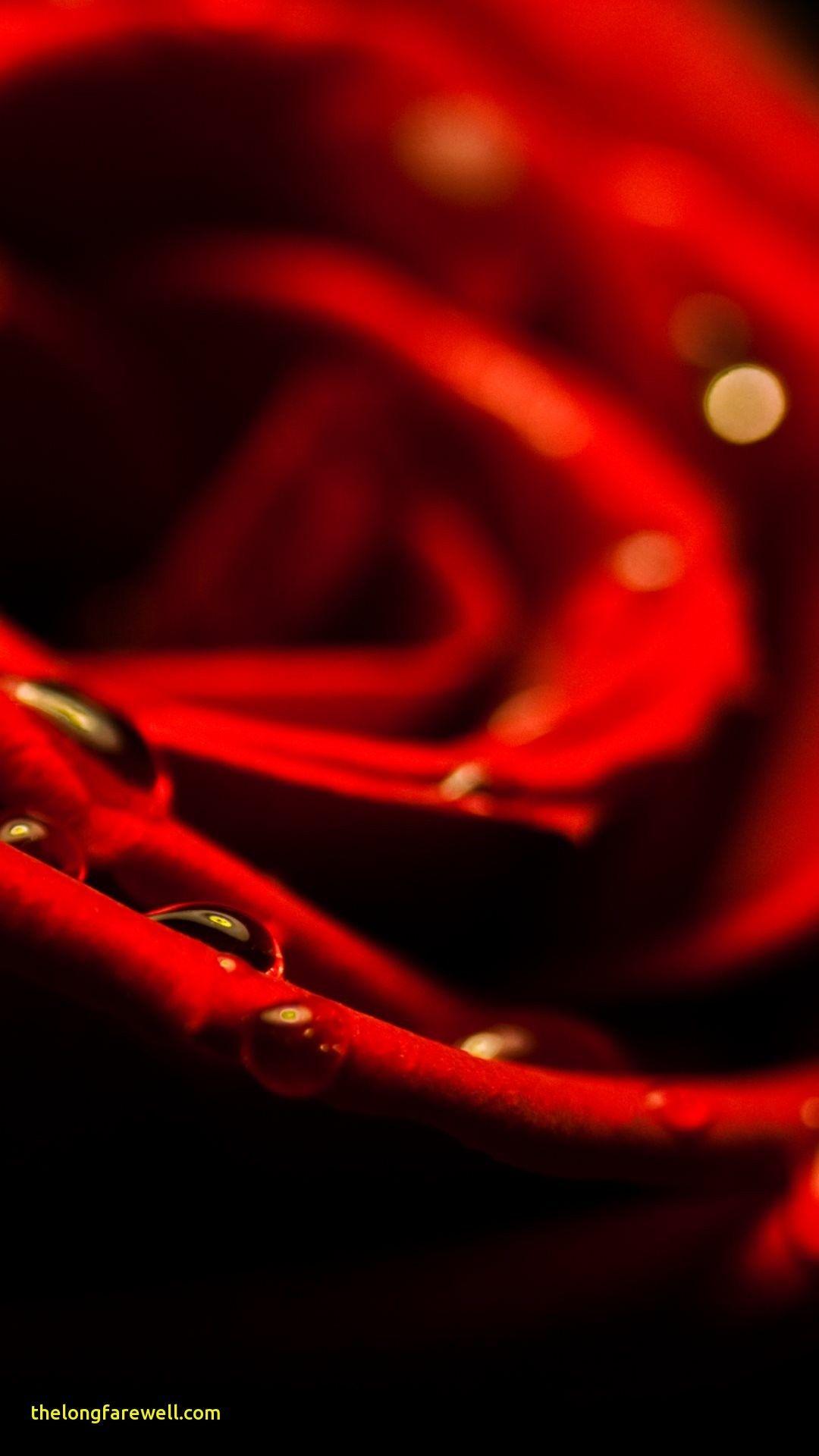 iPhone 8 Plus Red Wallpapers Top Free iPhone 8 Plus Red Backgrounds