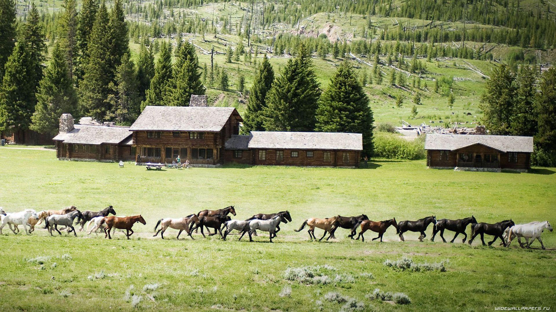 Ranch Wallpapers Top Free Ranch Backgrounds WallpaperAccess