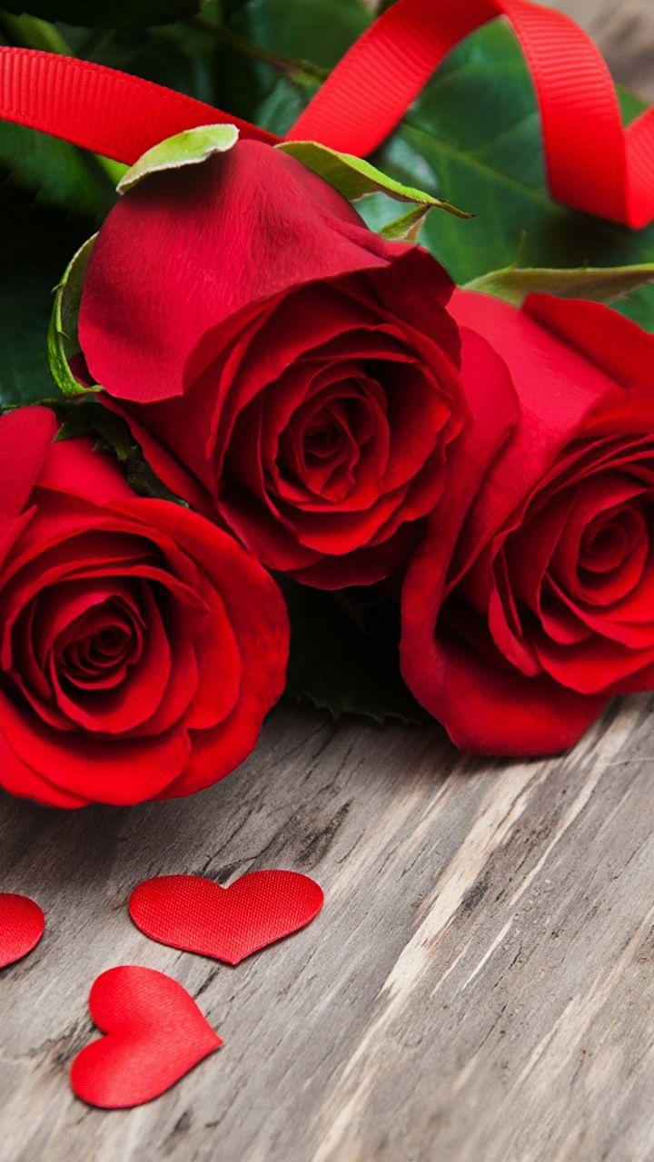 Love Rose HD Wallpapers Top Free Love Rose HD Backgrounds