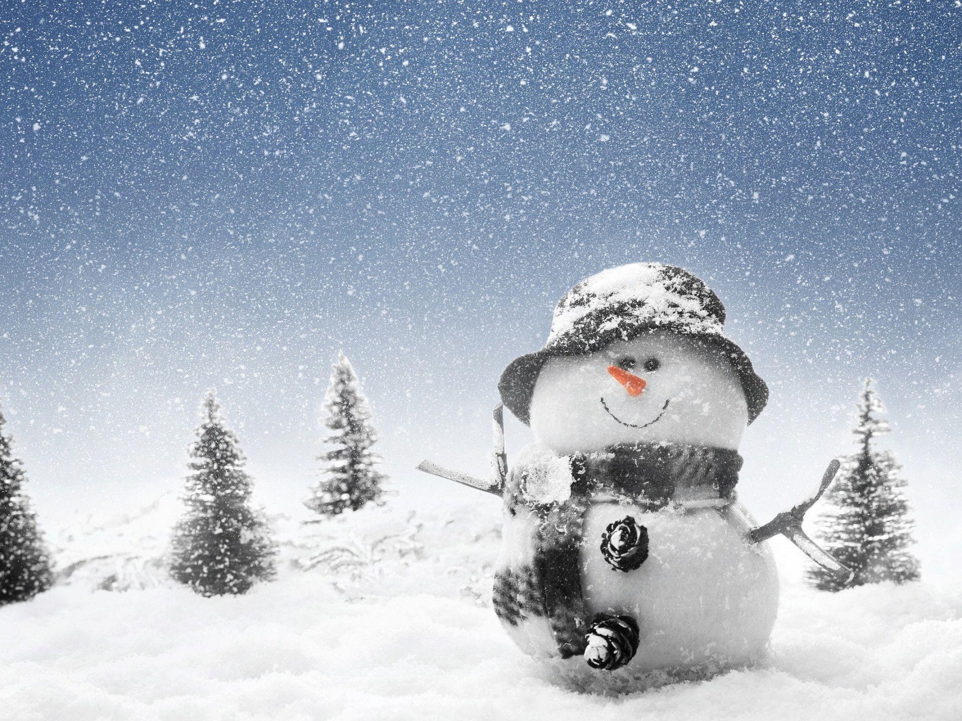 Funny Winter Wallpapers Top Free Funny Winter Backgrounds