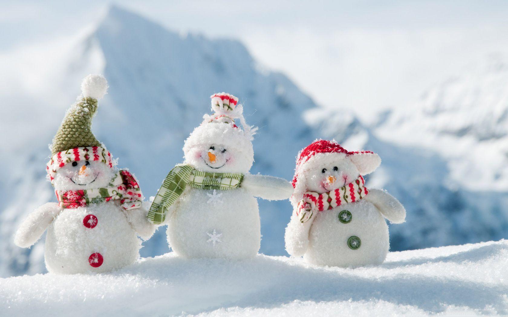 Funny Winter Wallpapers Top Free Funny Winter Backgrounds