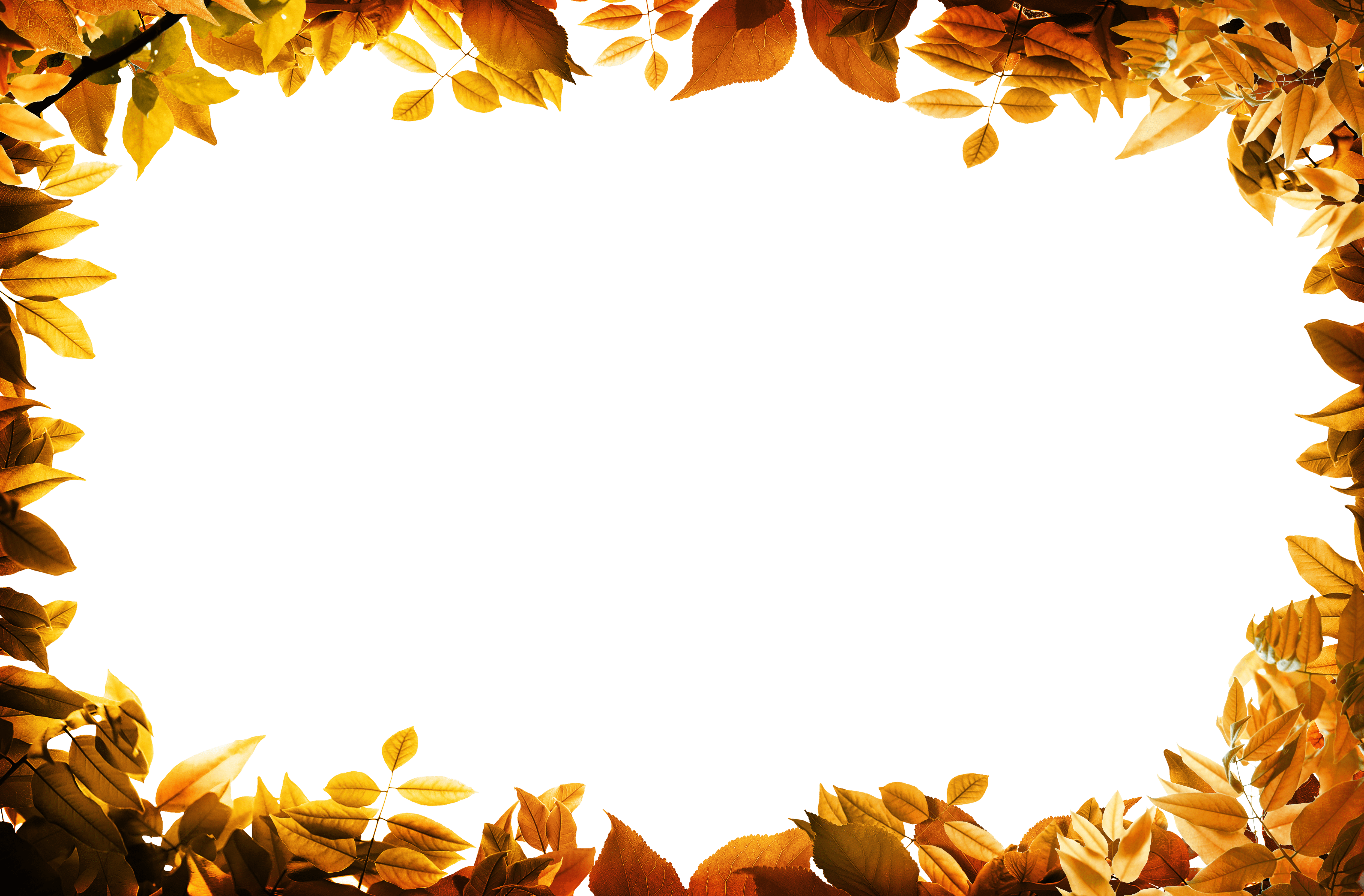 Photo Frame Wallpapers Top Free Photo Frame Backgrounds WallpaperAccess