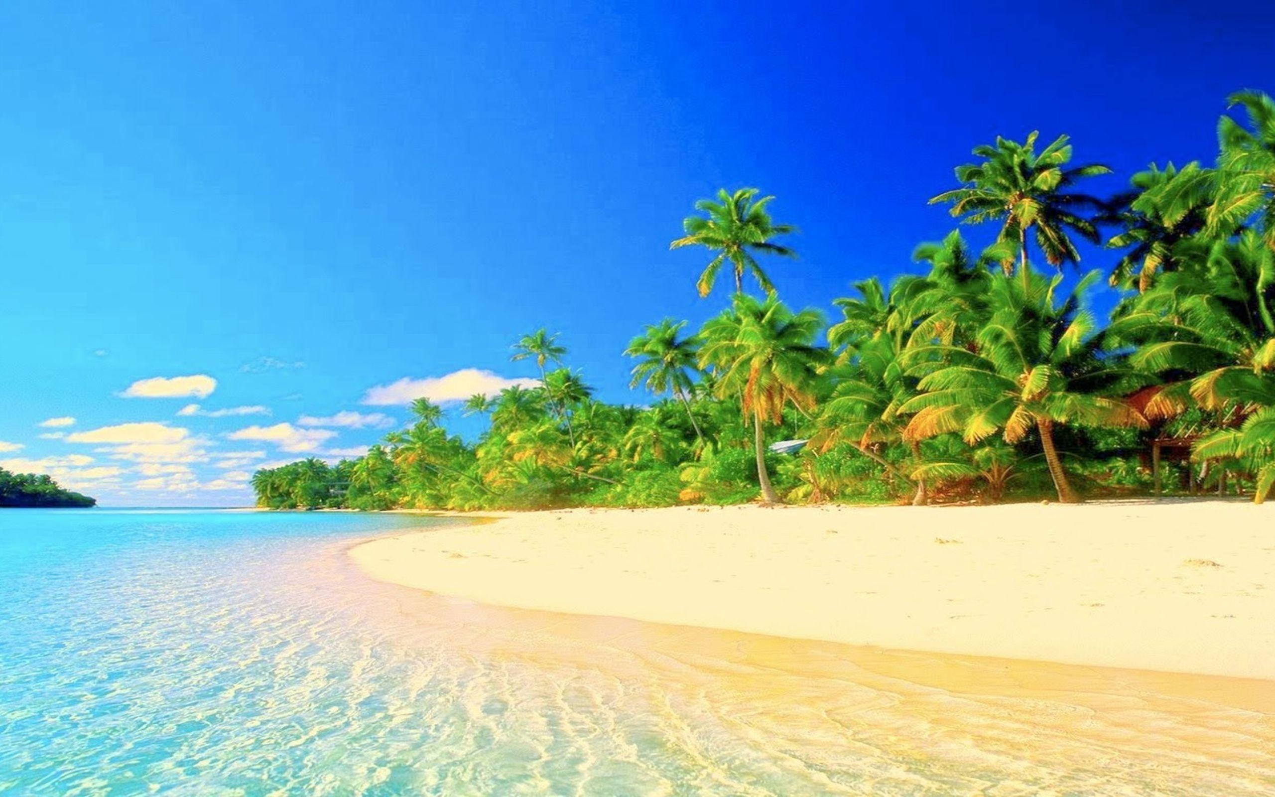 Tropical Paradise Desktop Wallpapers Top Free Tropical Paradise