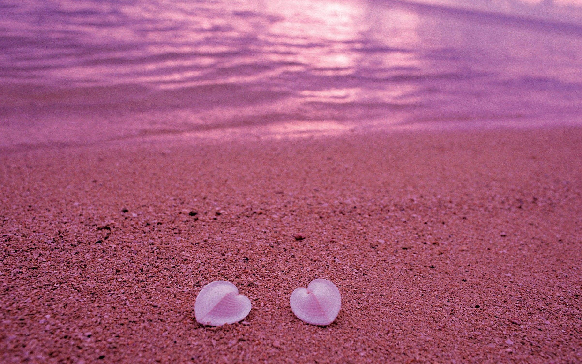 Pink Sea Wallpapers Top Free Pink Sea Backgrounds WallpaperAccess