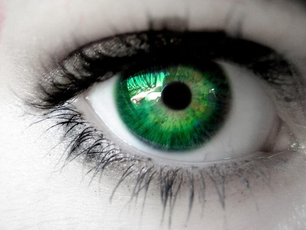 Green Eye Wallpapers Top Free Green Eye Backgrounds WallpaperAccess