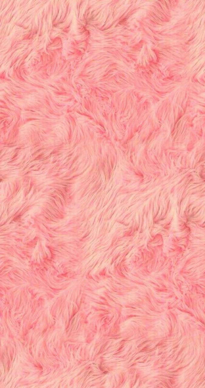 Pink Fur Wallpapers Top Free Pink Fur Backgrounds WallpaperAccess