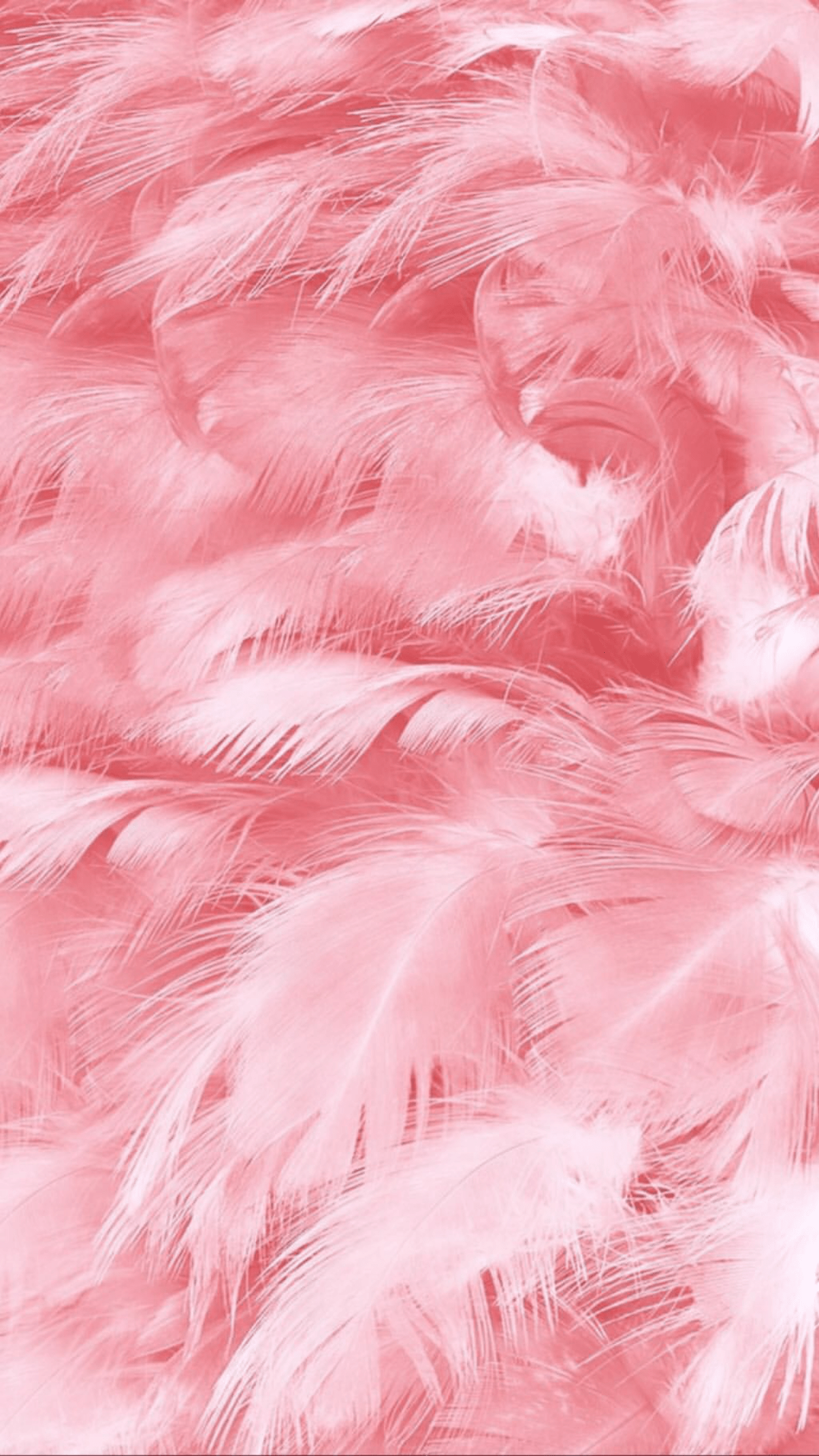 Pink Fur Wallpapers Top Free Pink Fur Backgrounds WallpaperAccess