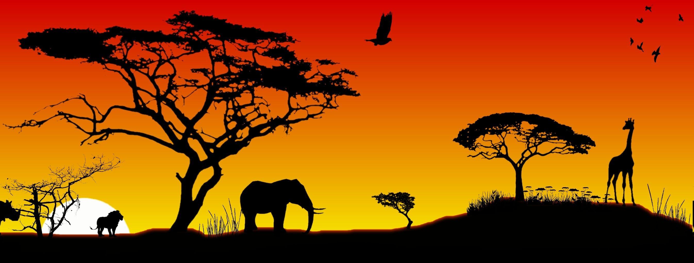 African Animals Wallpapers Top Free African Animals Backgrounds WallpaperAccess