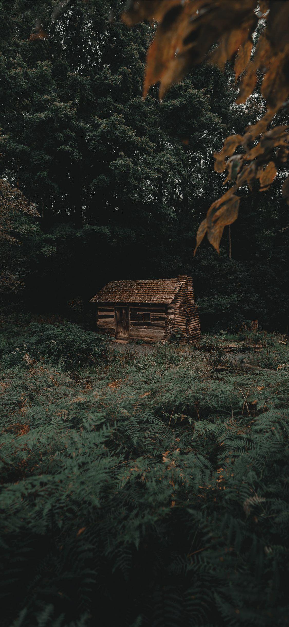 Cabin Wallpapers Top Free Cabin Backgrounds WallpaperAccess