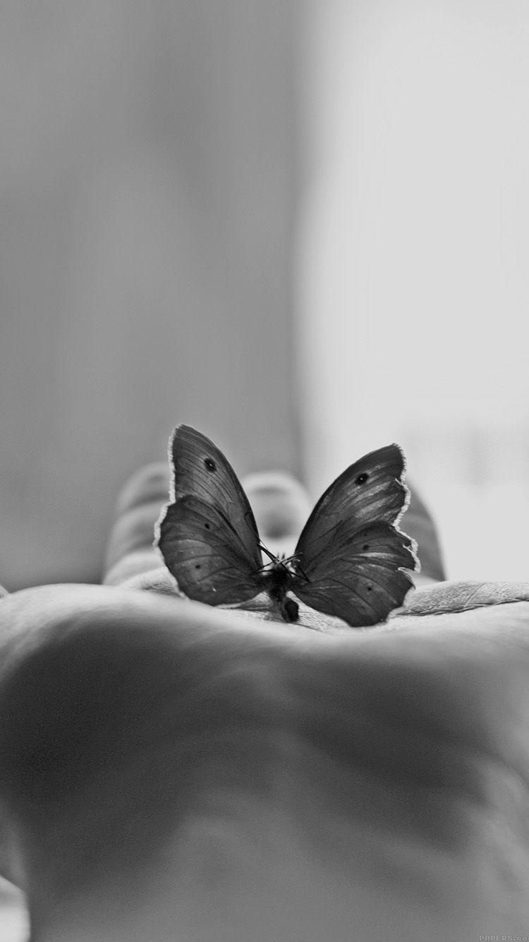 Aesthetic Butterflies Wallpapers Top Free Aesthetic Butterflies Backgrounds WallpaperAccess