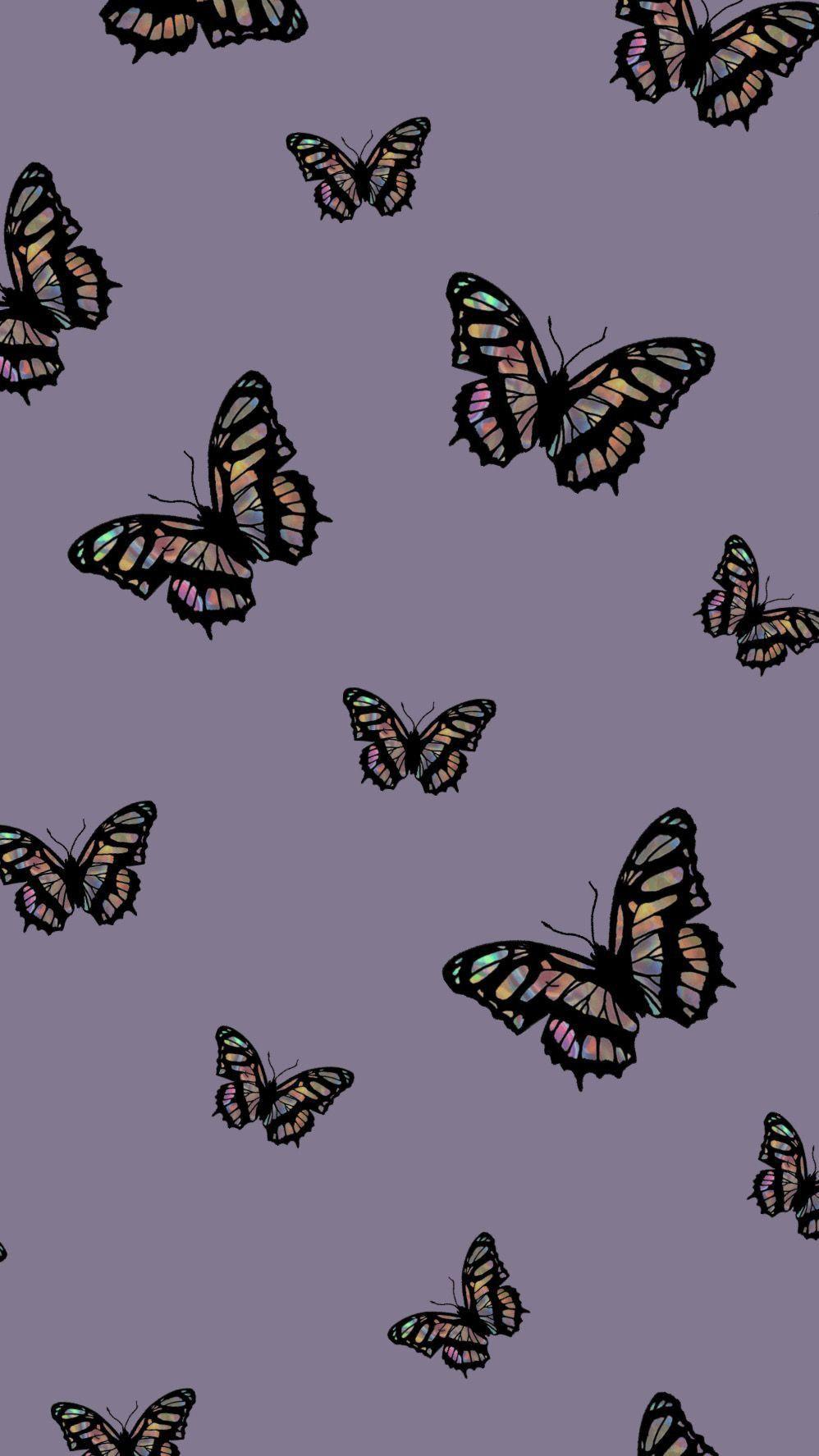 Aesthetic Butterflies Wallpapers Top Free Aesthetic Butterflies Backgrounds WallpaperAccess