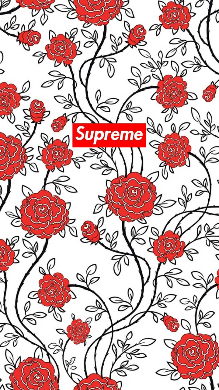 Supreme Rose Wallpapers Top Free Supreme Rose Backgrounds