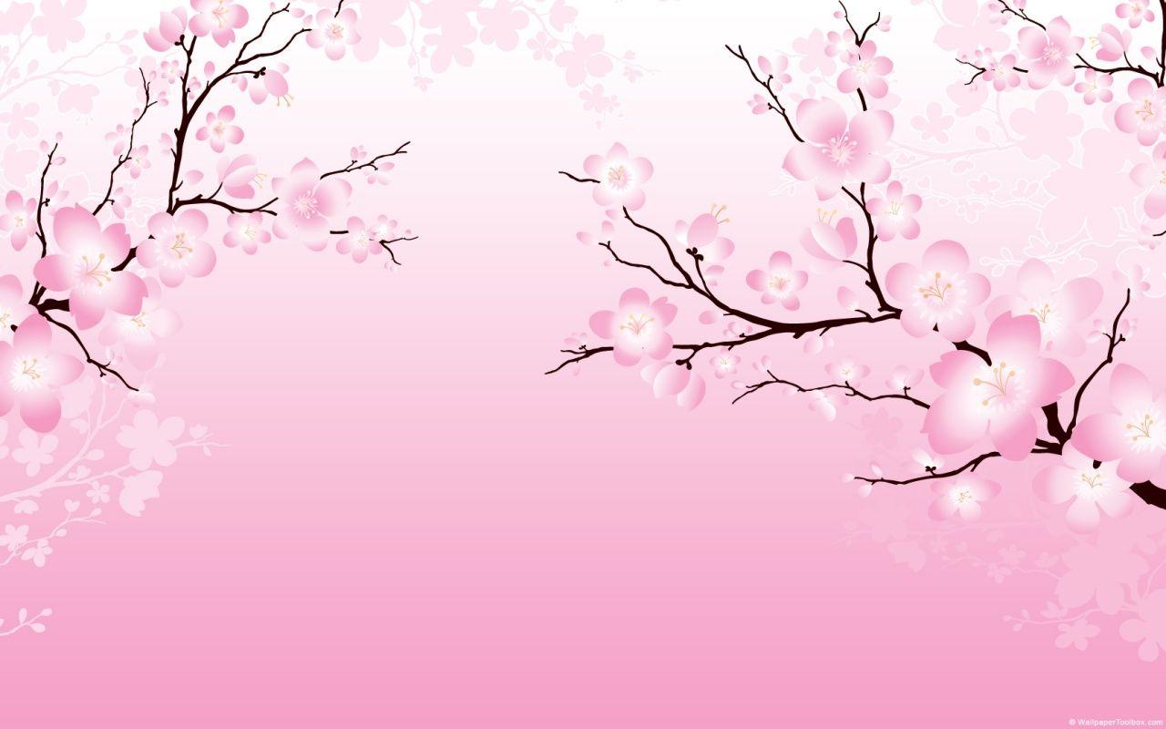 Japanese Flower Wallpapers Top Free Japanese Flower Backgrounds